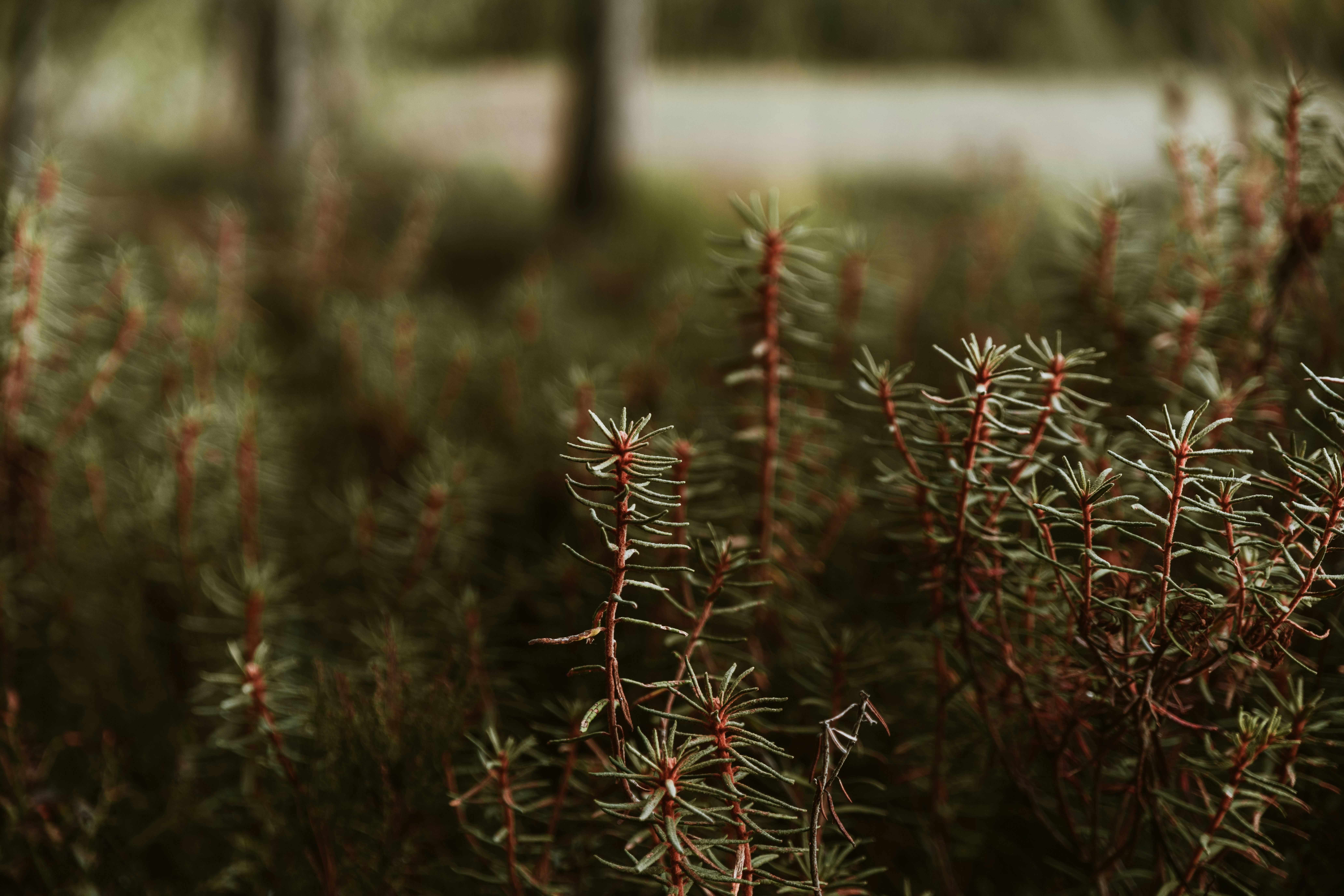 Photo by anitaaustvika