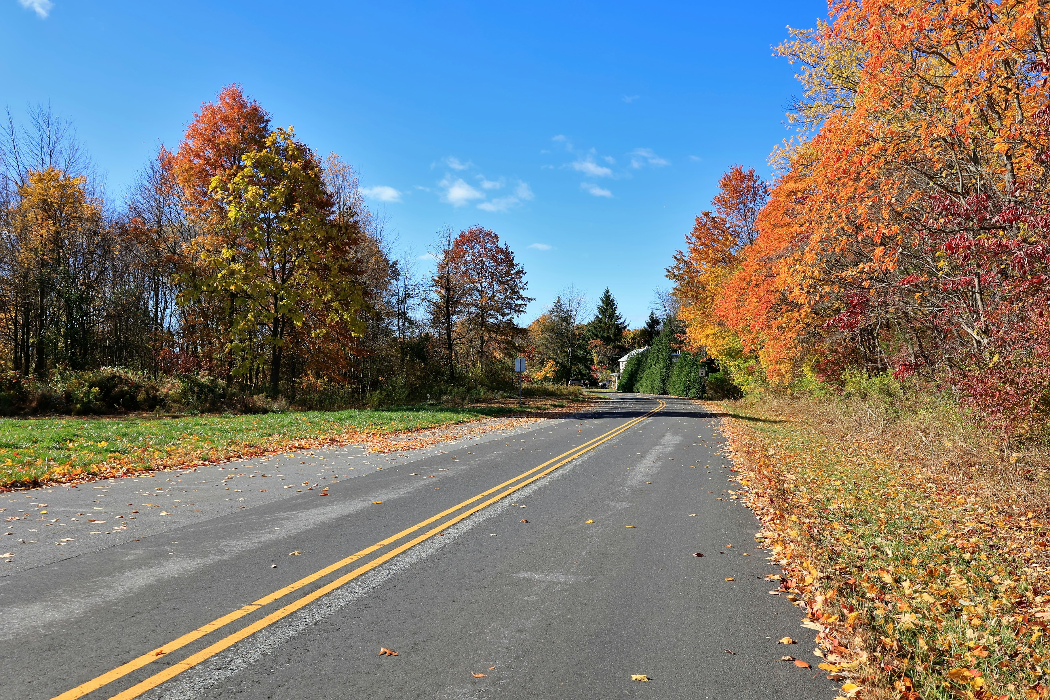 Photo by sherebiahtishbi