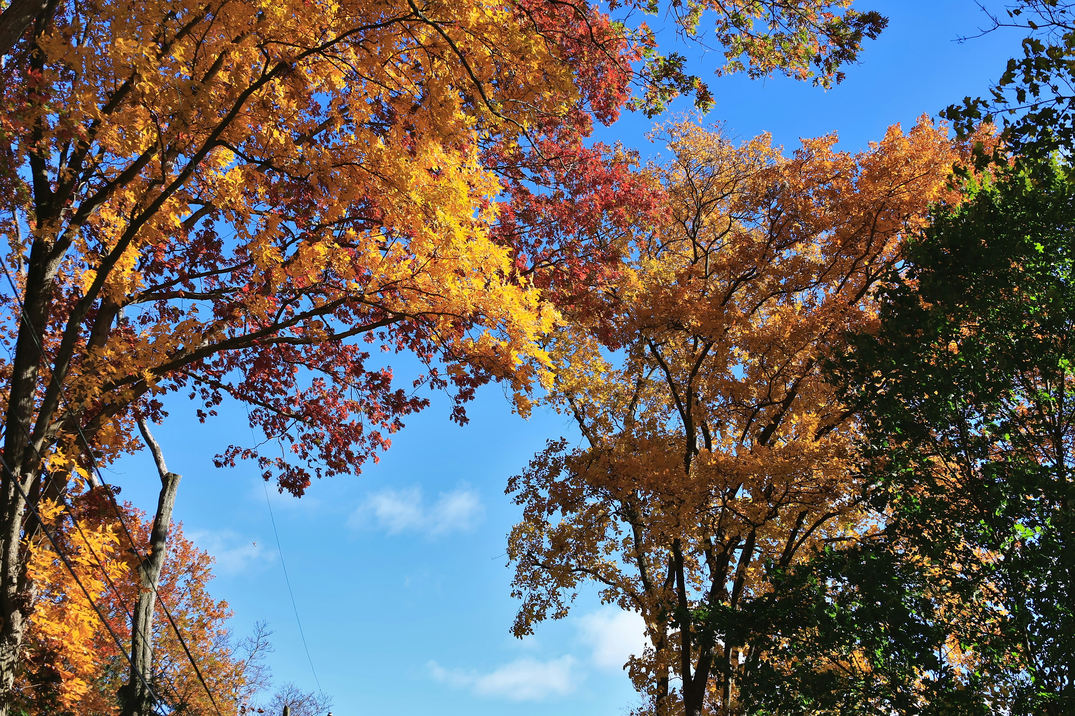 Photo by sherebiahtishbi