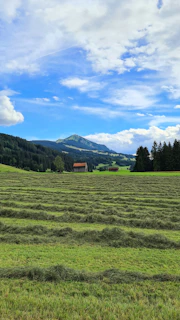 Wide open lot with freshly cut grass and distant farm buildings near Magdalena.