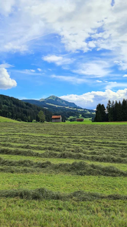 Wide open lot with freshly cut grass and distant farm buildings near Magdalena.