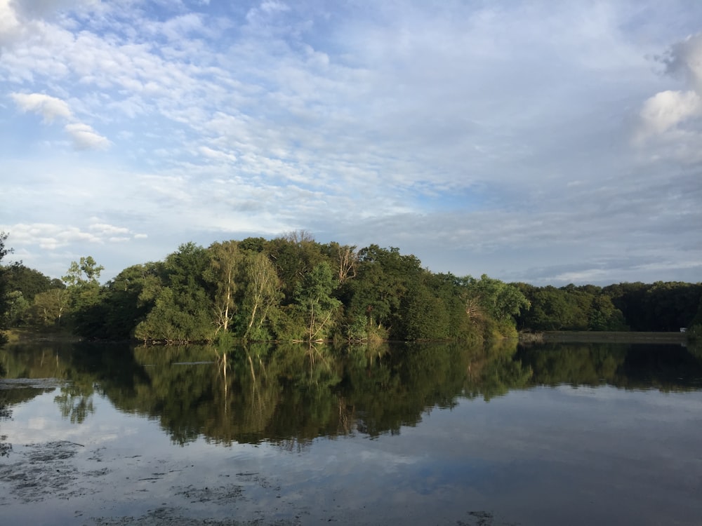 a body of water with trees around it