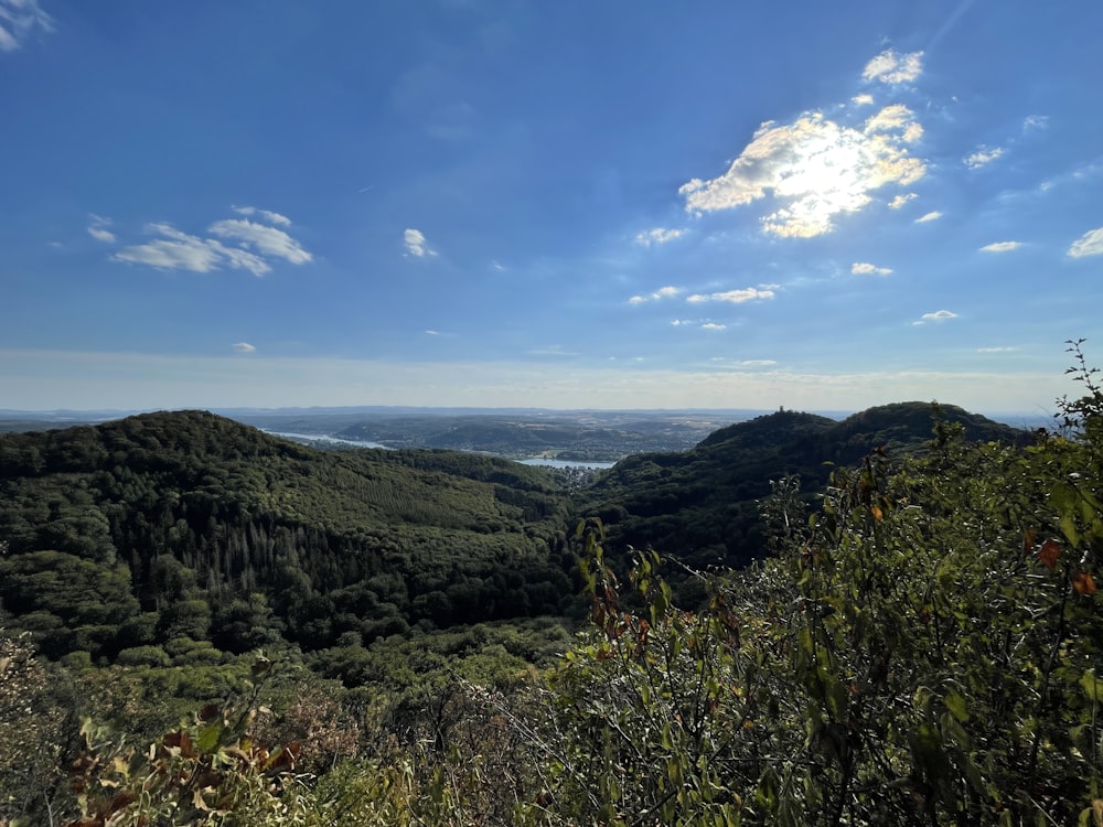 a landscape with trees and hills