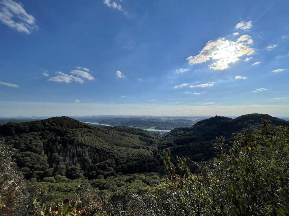 a landscape with trees and hills