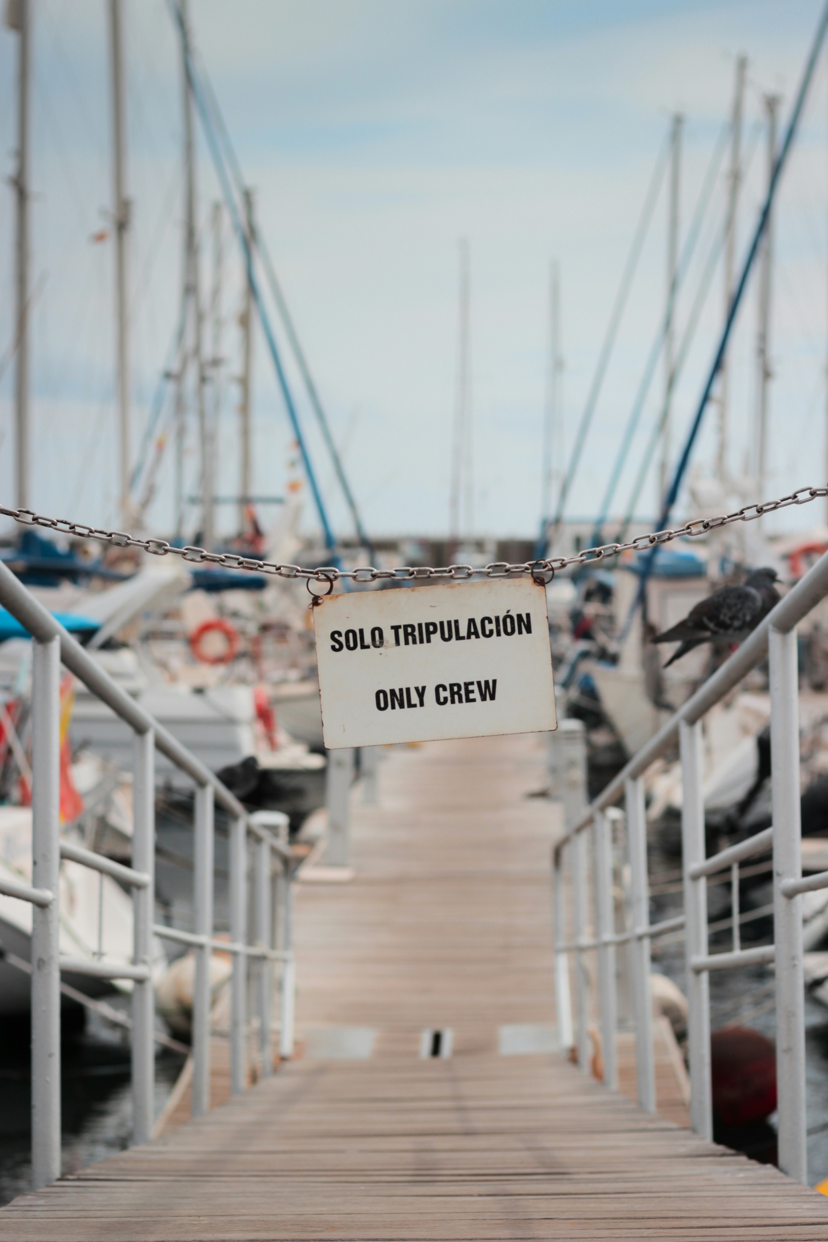 un muelle de madera con un letrero