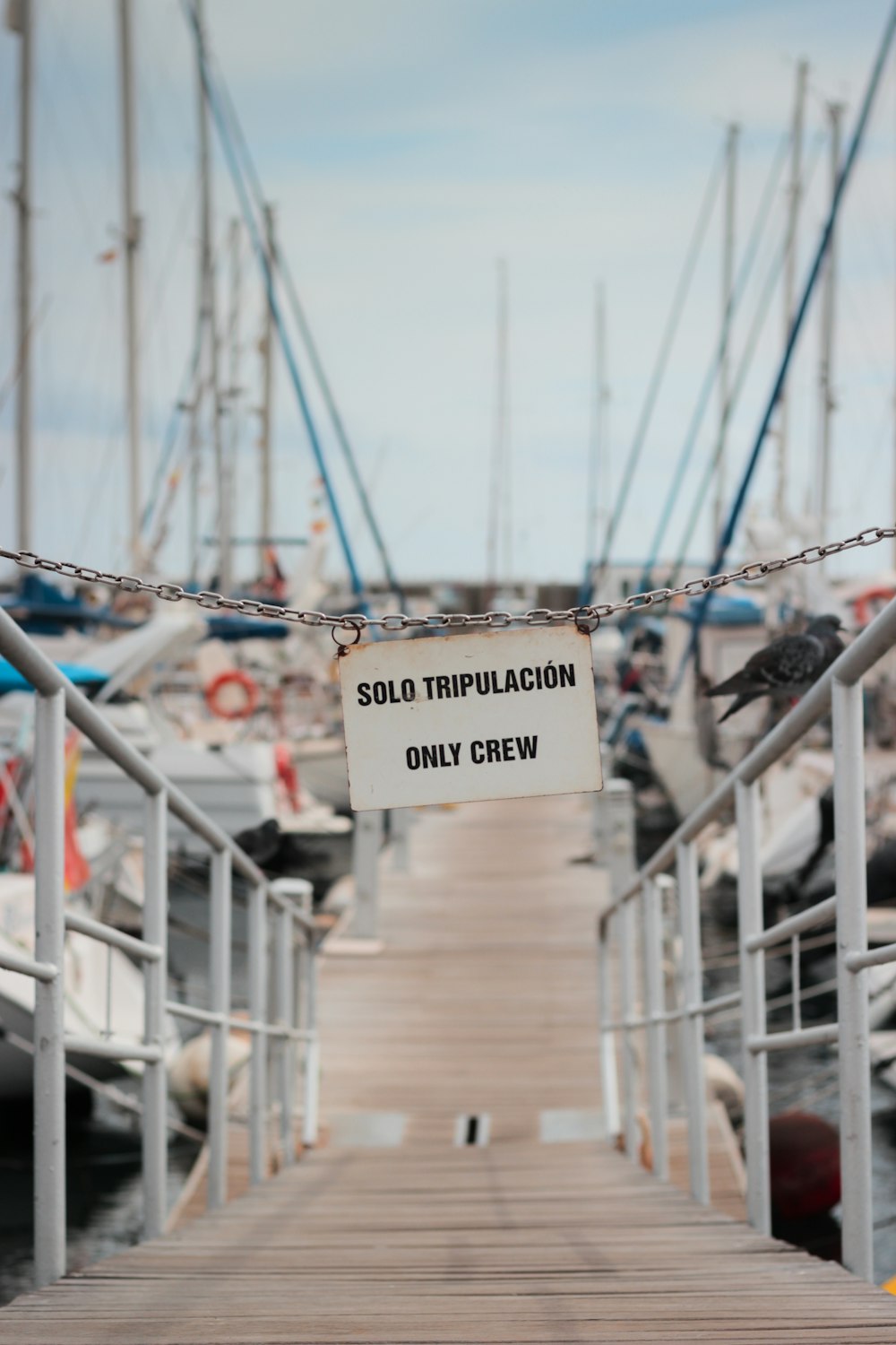 a wooden dock with a sign