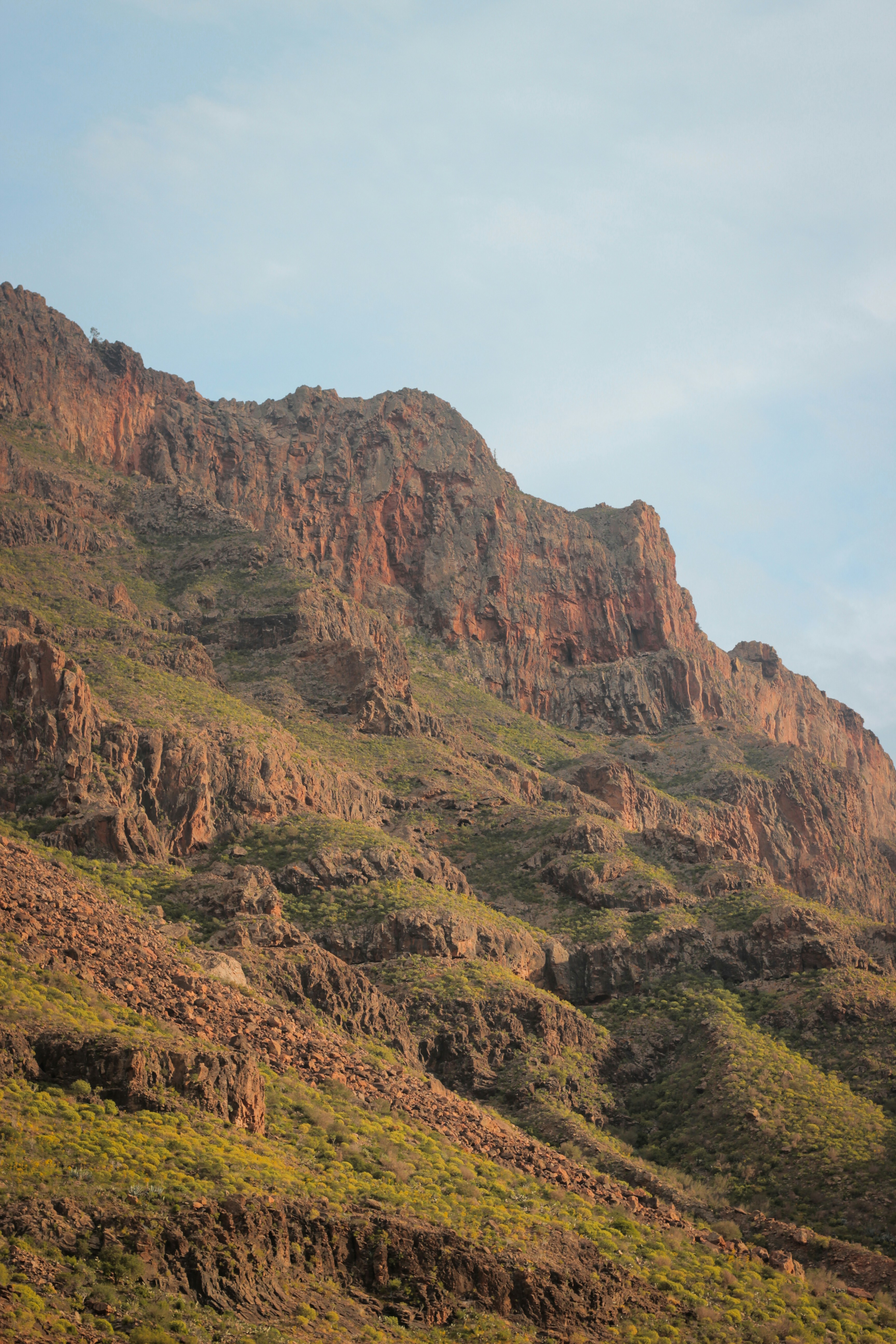 a rocky mountain with trees