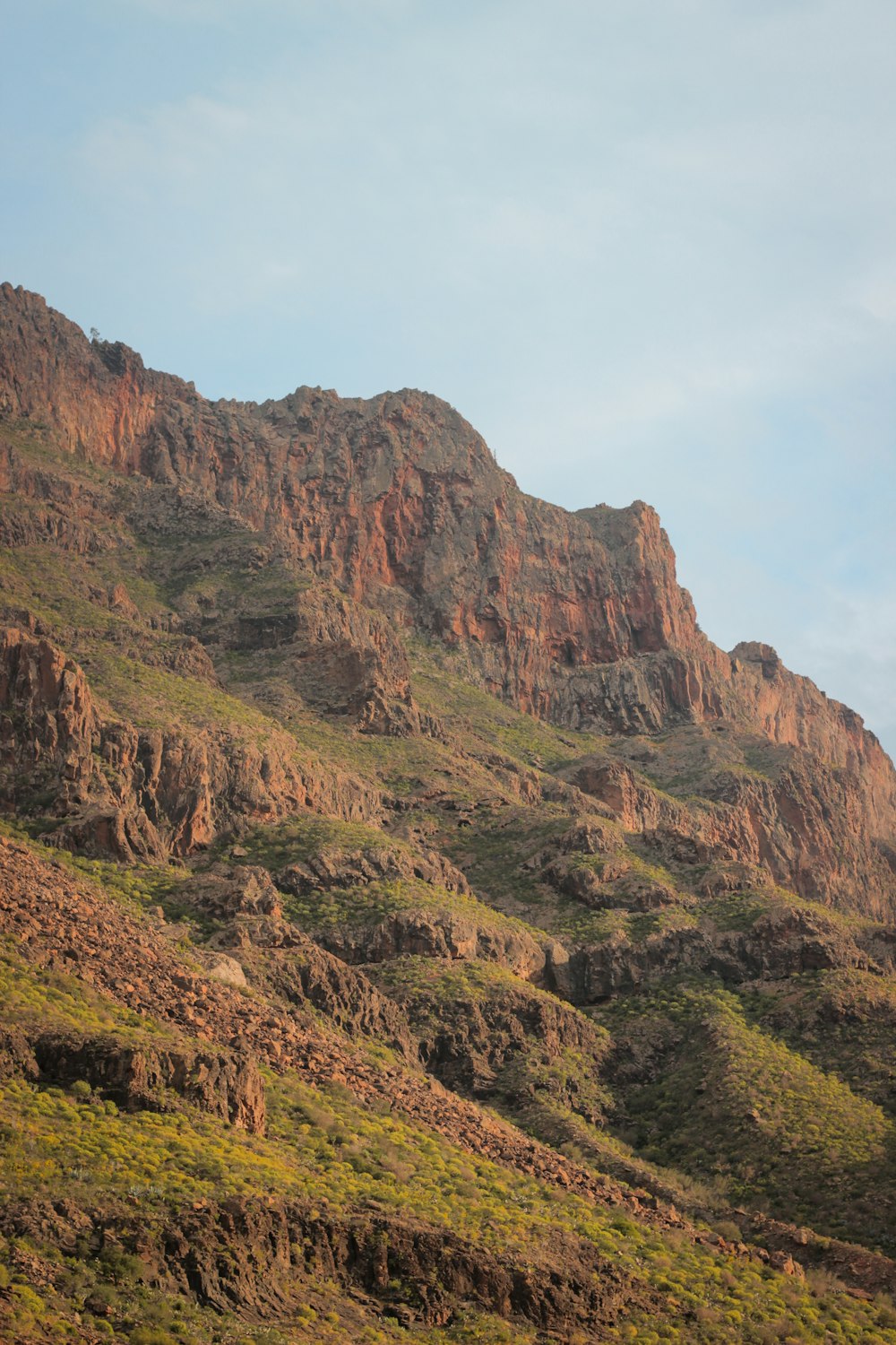 a rocky mountain with trees