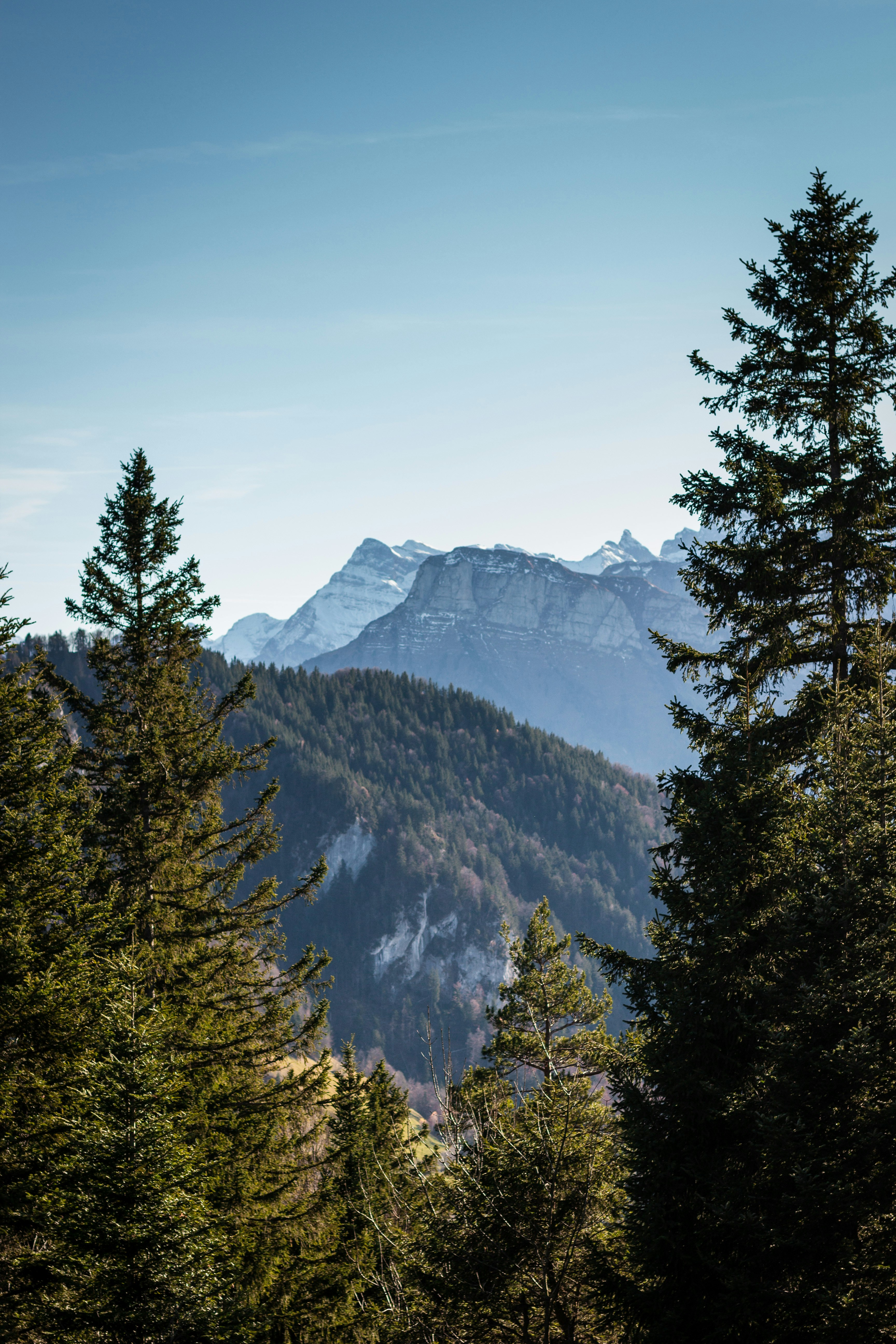 Photo by mikolasvoborsky