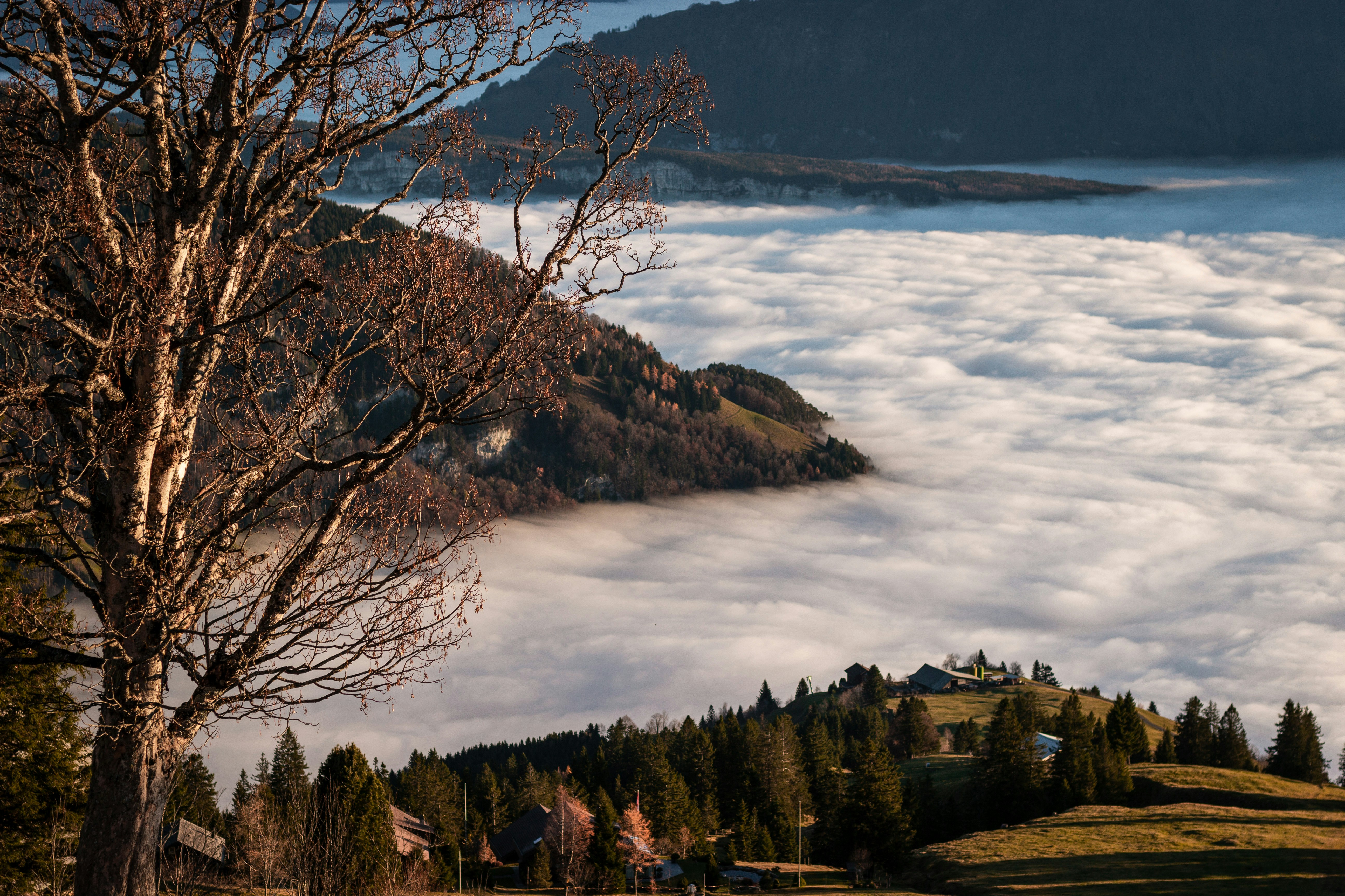 Photo by mikolasvoborsky