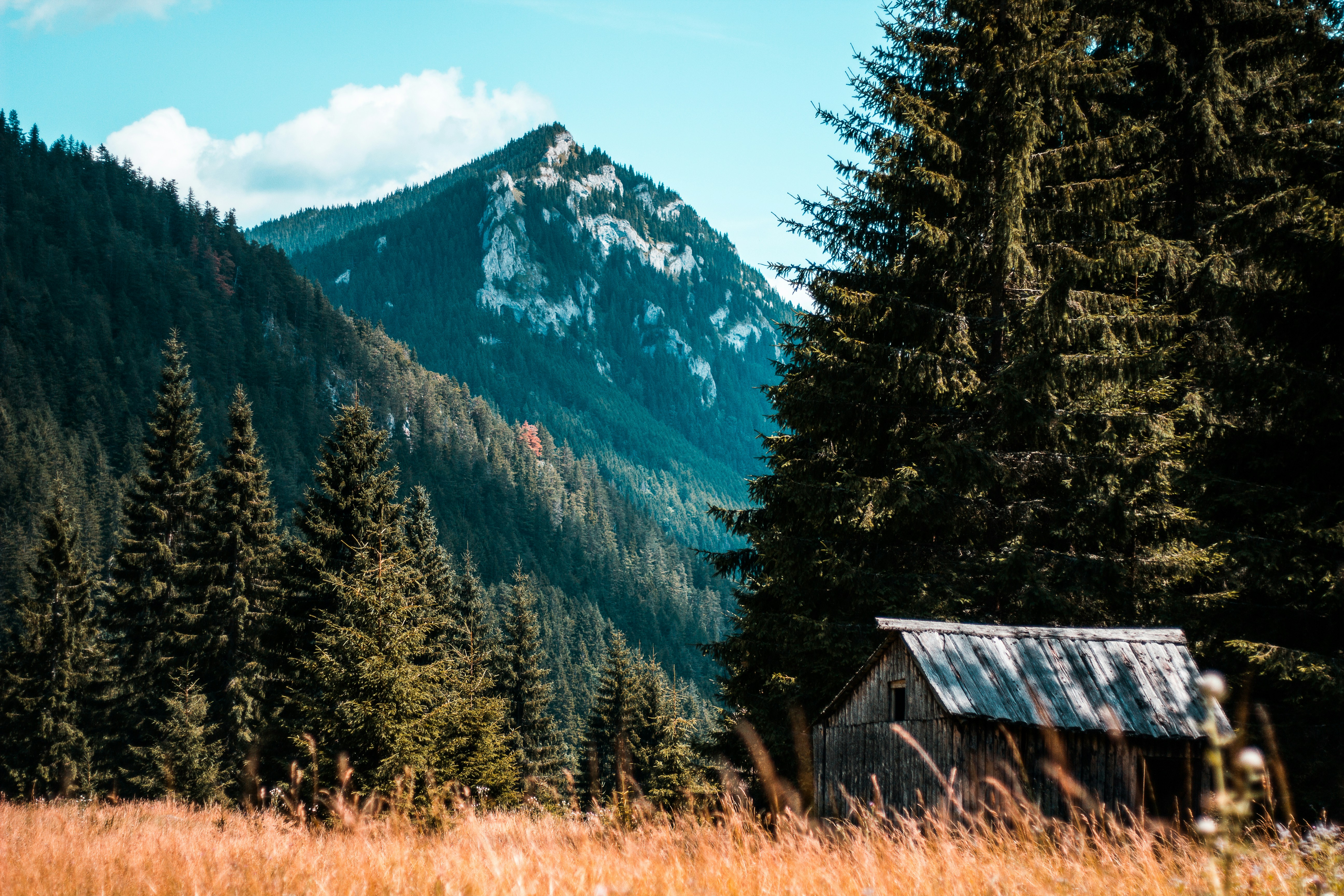 Photo by mikolasvoborsky