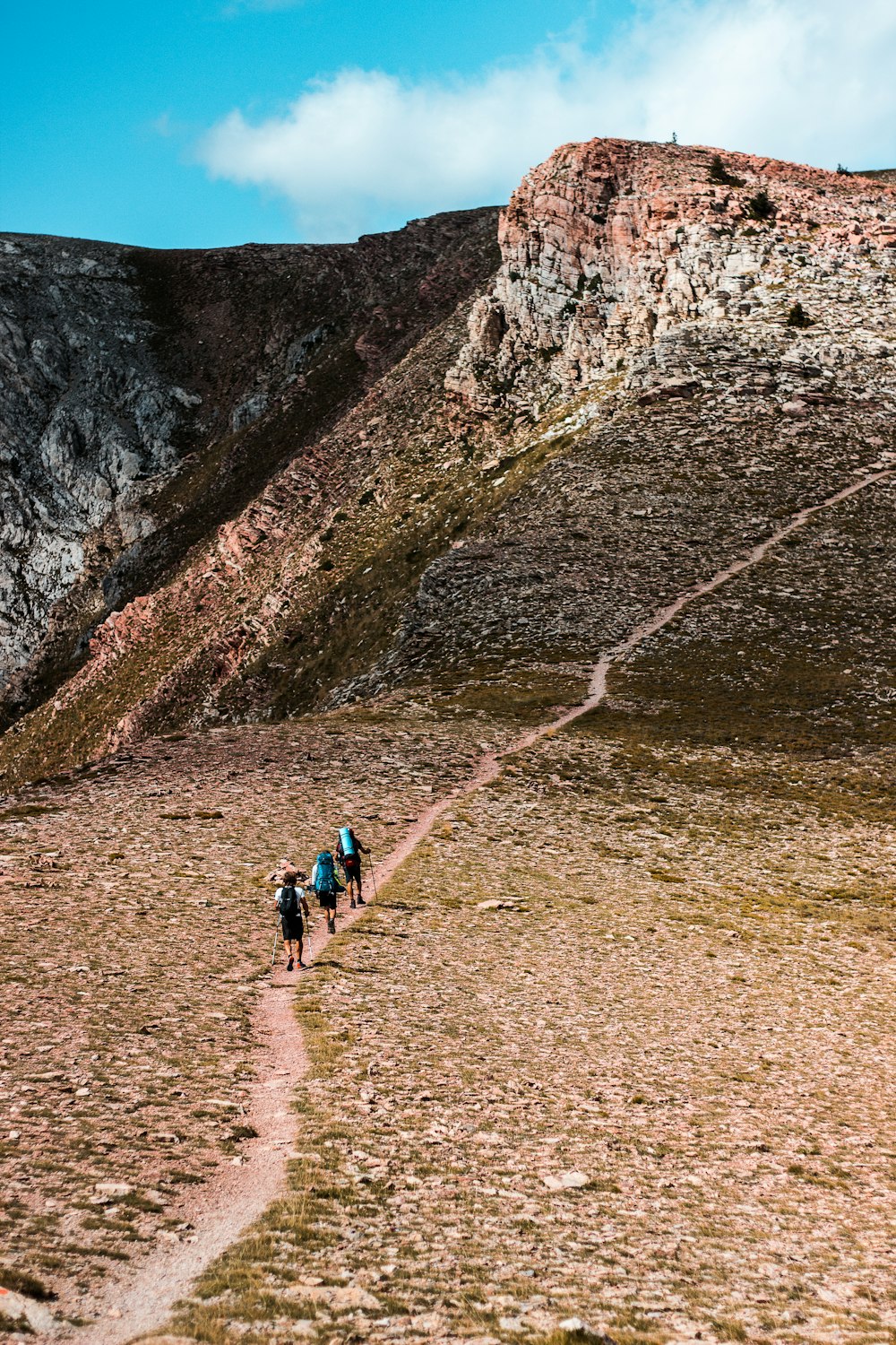 a group of people hiking up a mountain