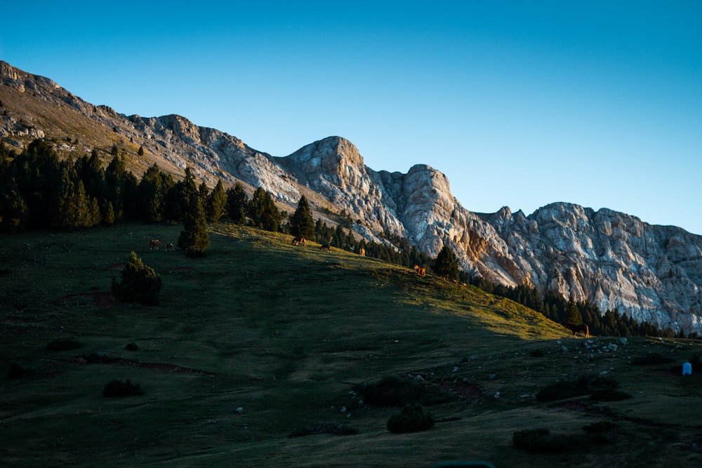 a river running through a valley between mountains