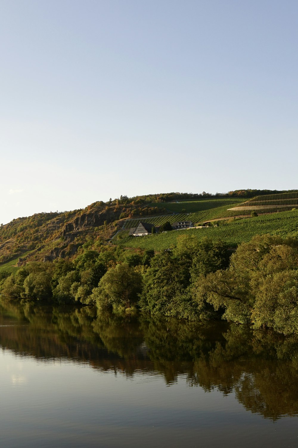 a body of water with trees and a hill in the background