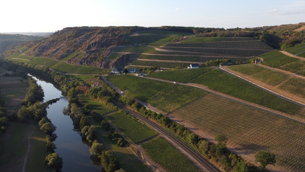 Ein Fluss, der durch eine grüne Landschaft fließt