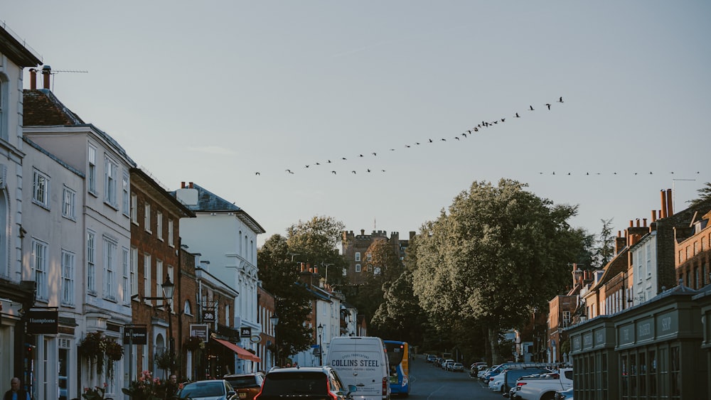 birds flying over a street