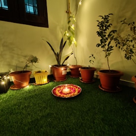 A serene indoor garden corner adorned with several potted plants arranged on a patch of artificial grass. In the center, there is a decorative platter with a lit candle surrounded by flower petals. The soft glow of string lights enhances the ambiance and highlights the foliage.