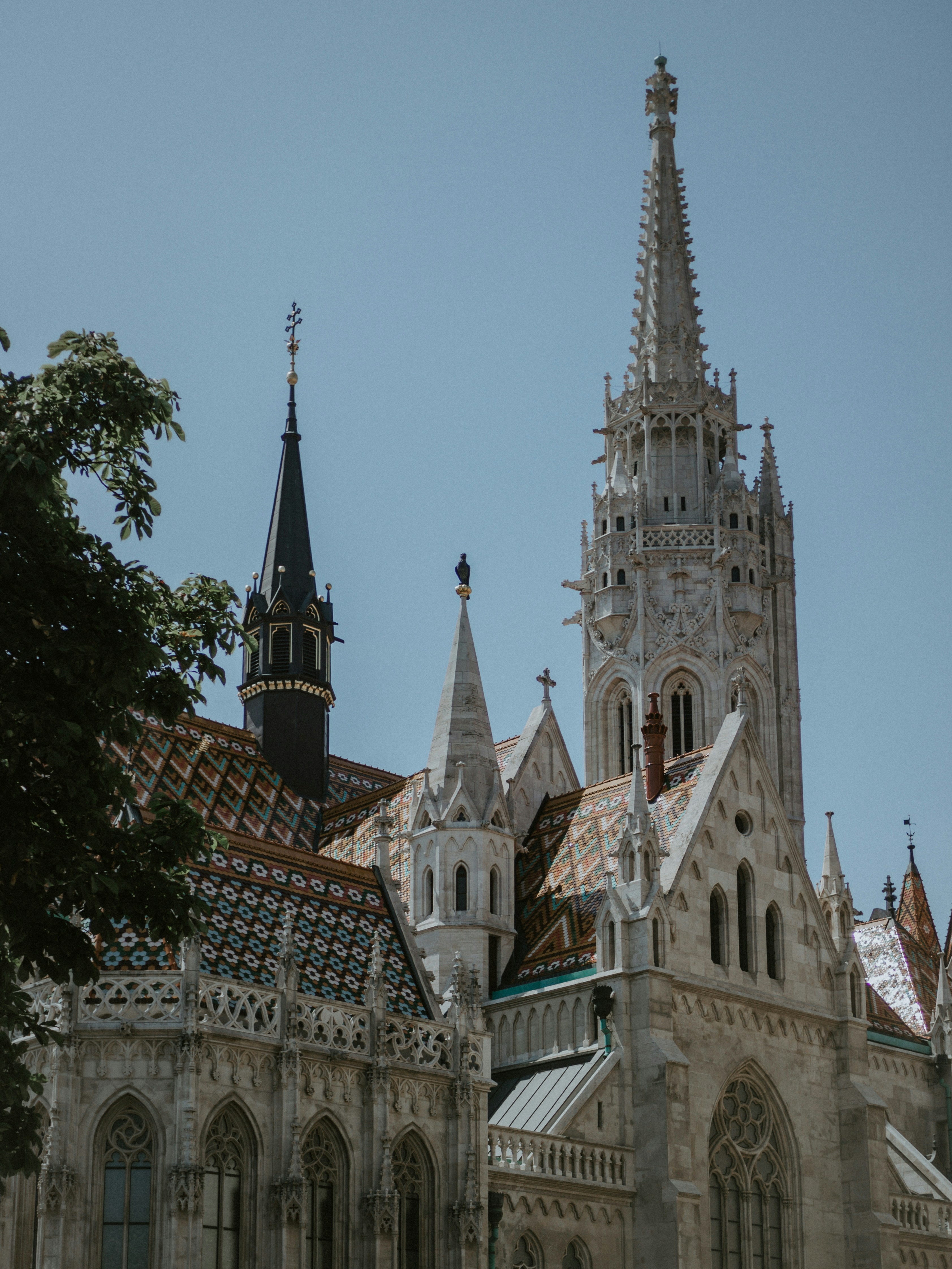 Photo by matthiasoberholzer