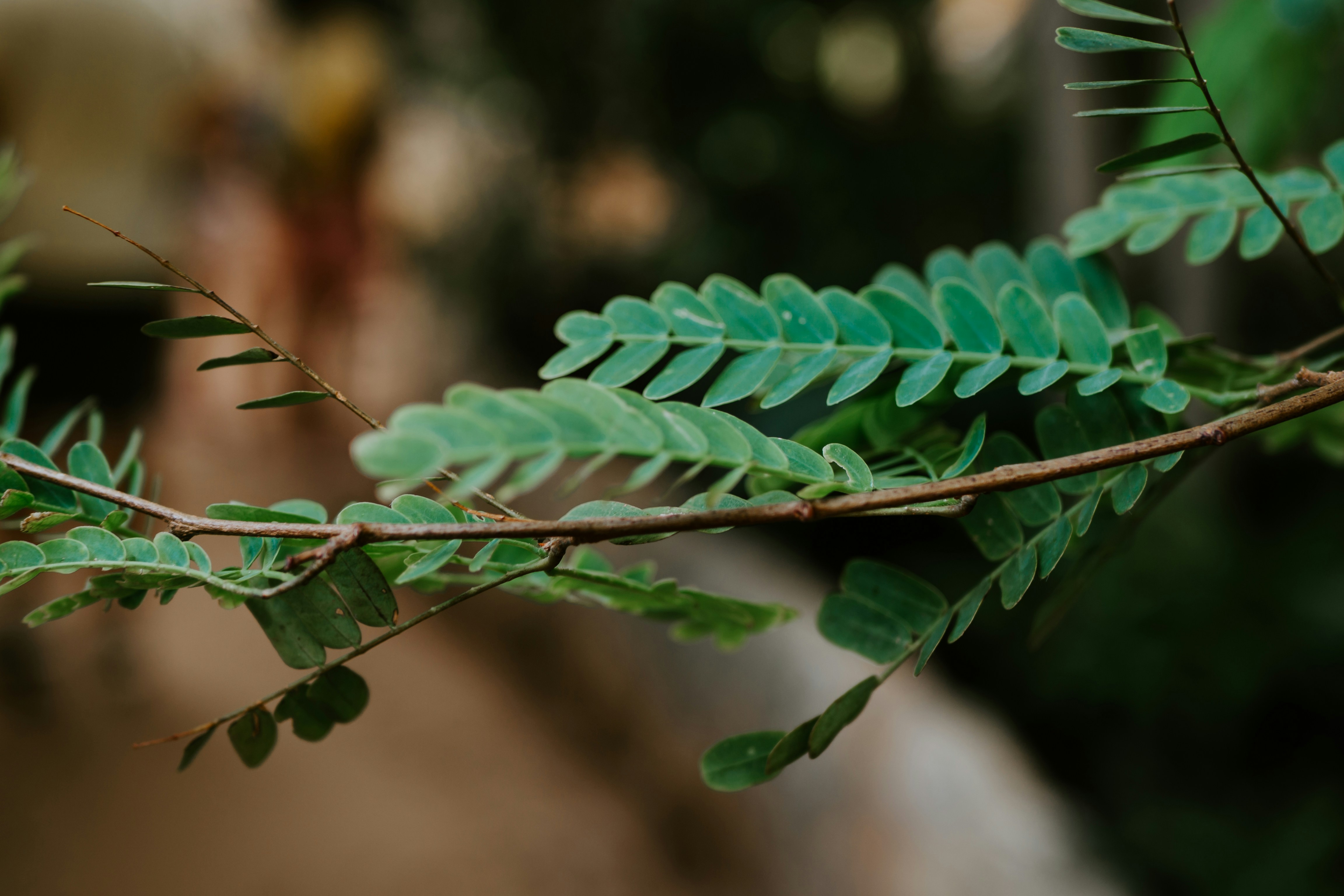 Photo by matthiasoberholzer