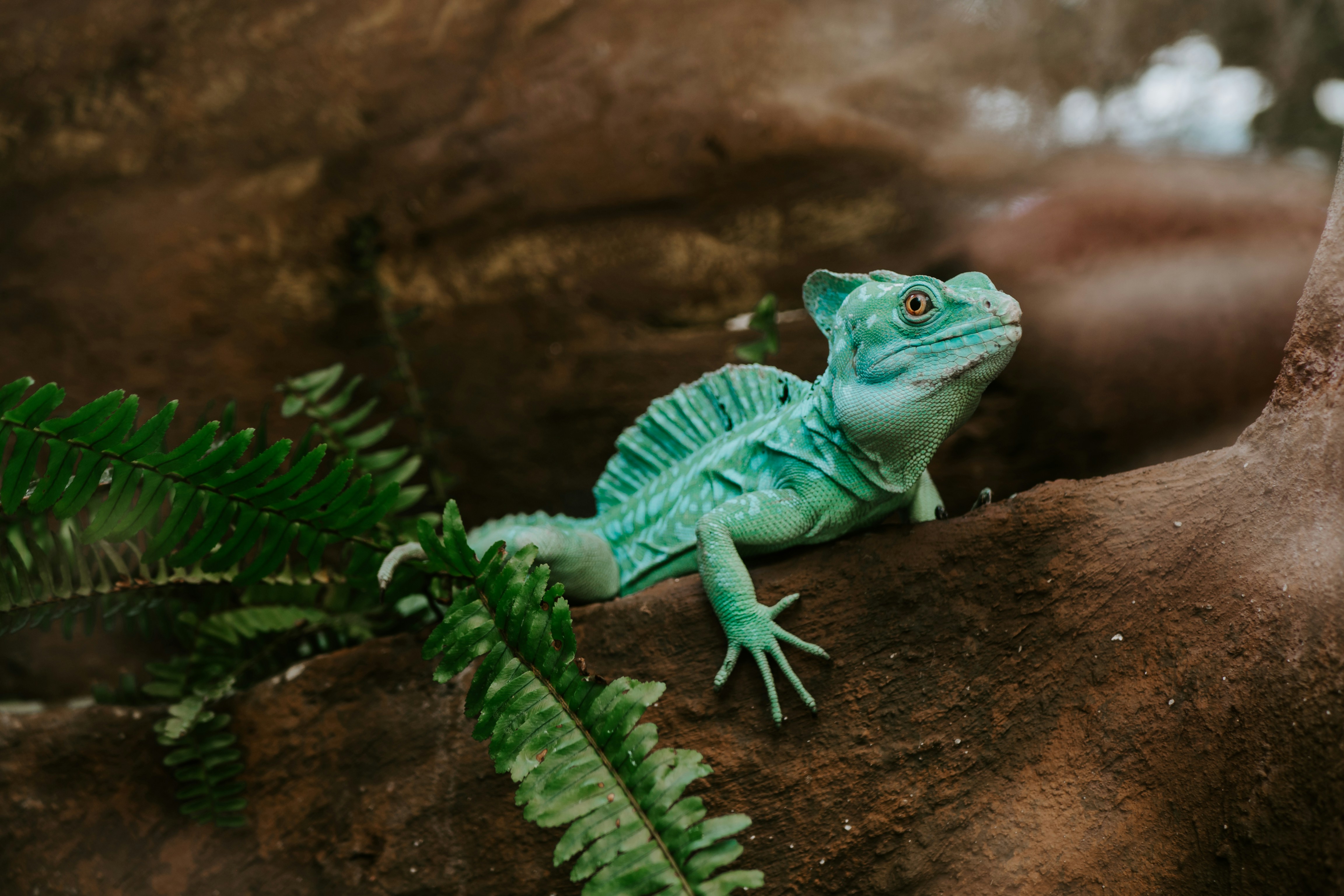 Photo by matthiasoberholzer