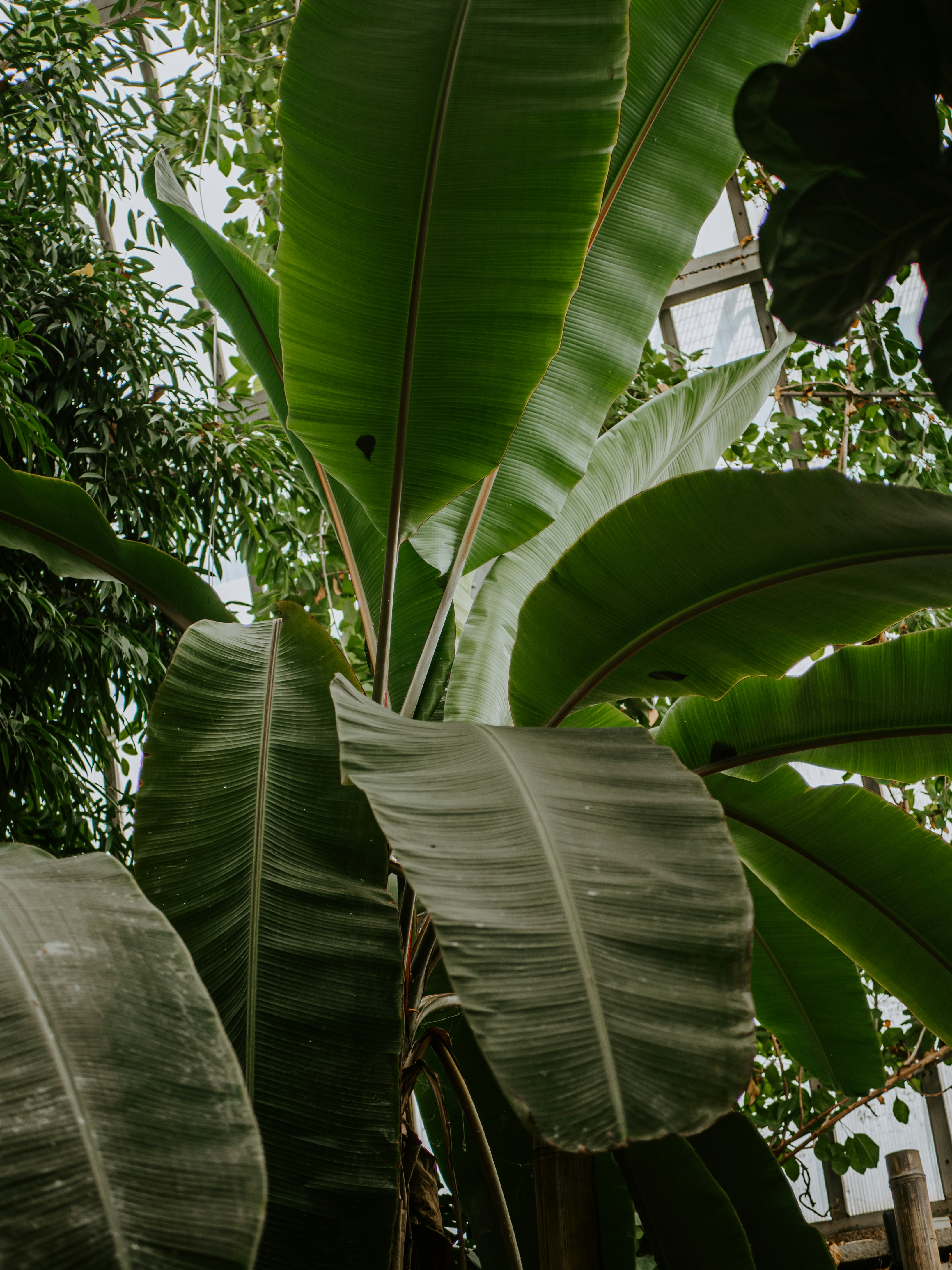 Photo by matthiasoberholzer