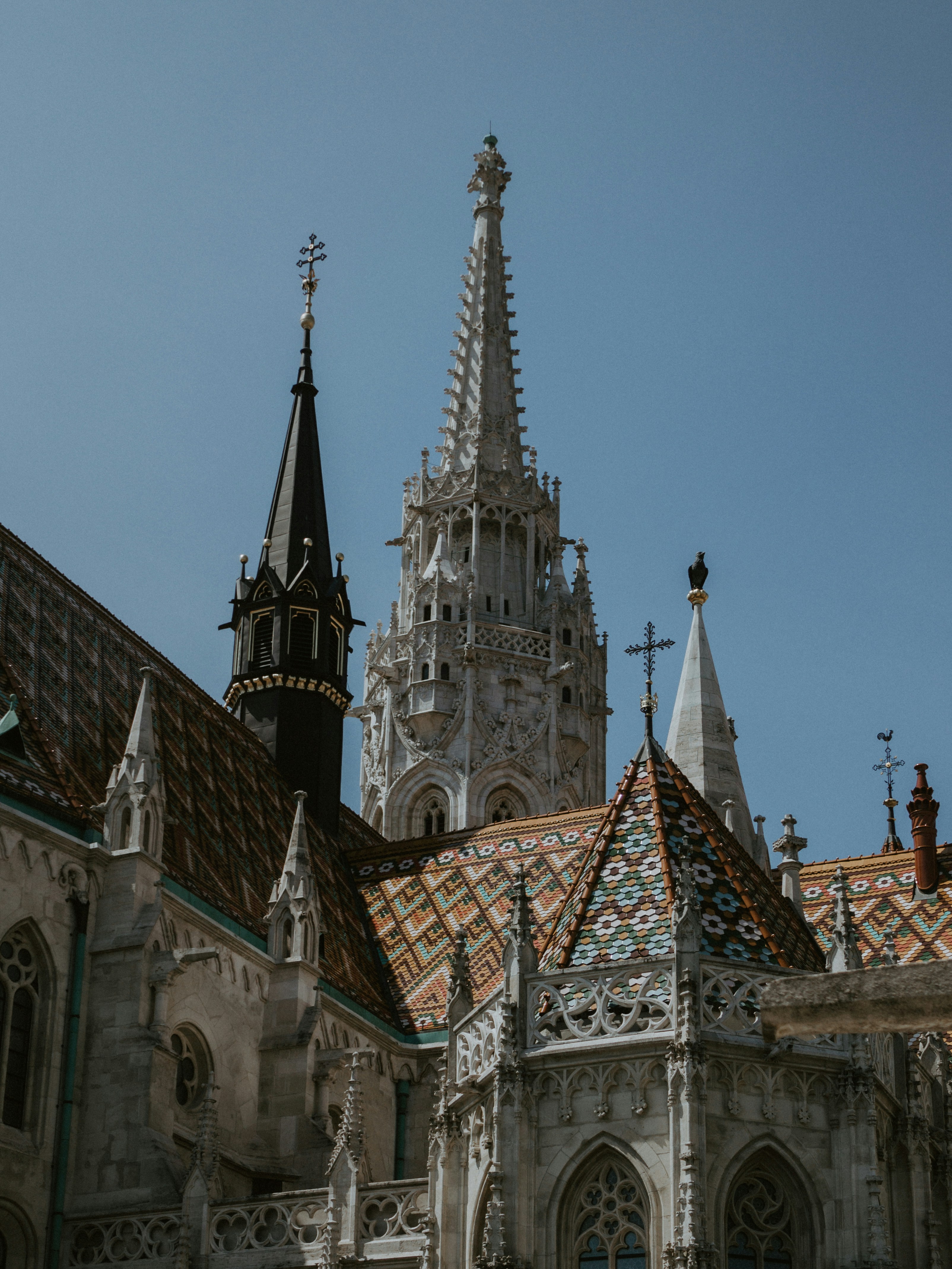 Photo by matthiasoberholzer