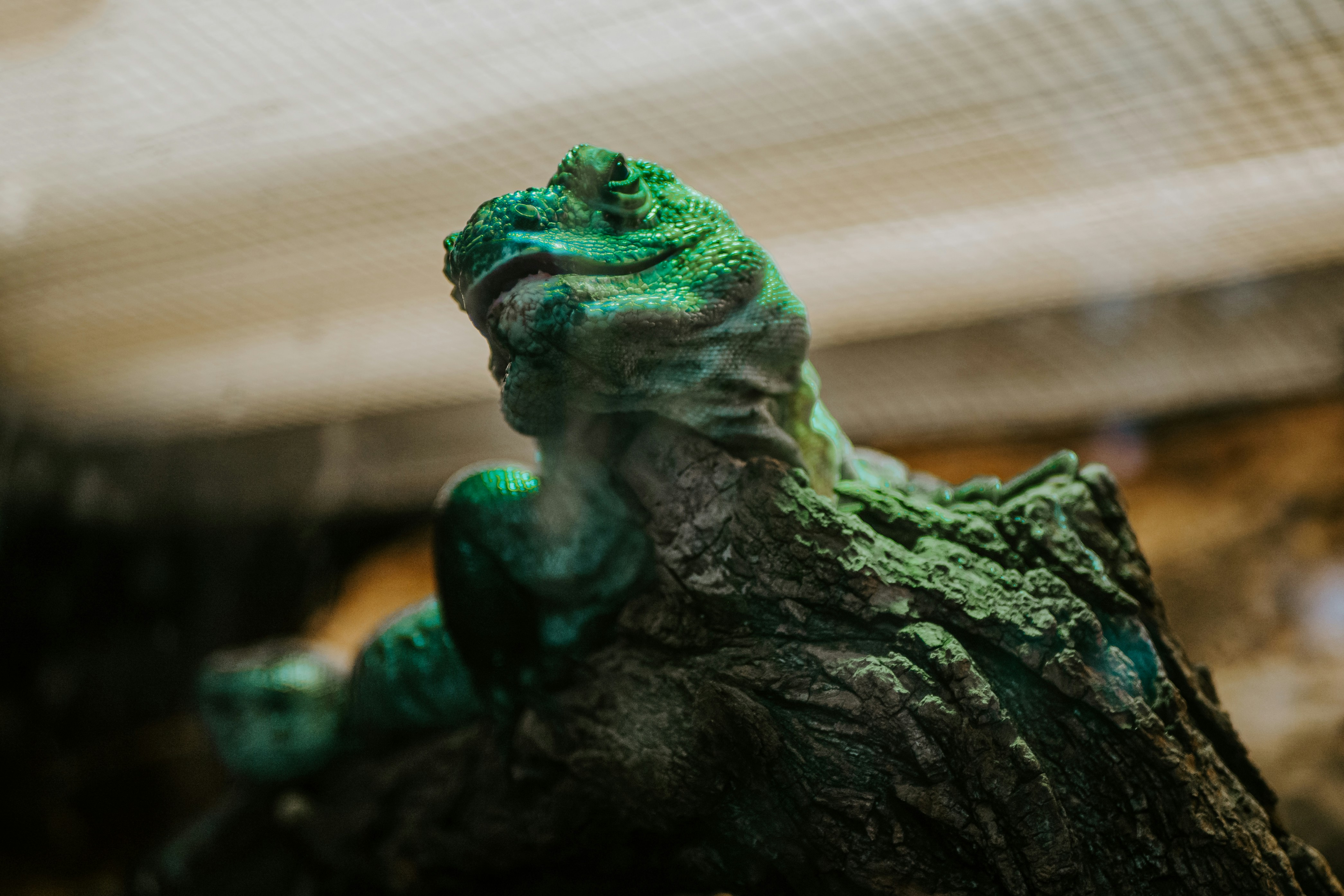 Photo by matthiasoberholzer