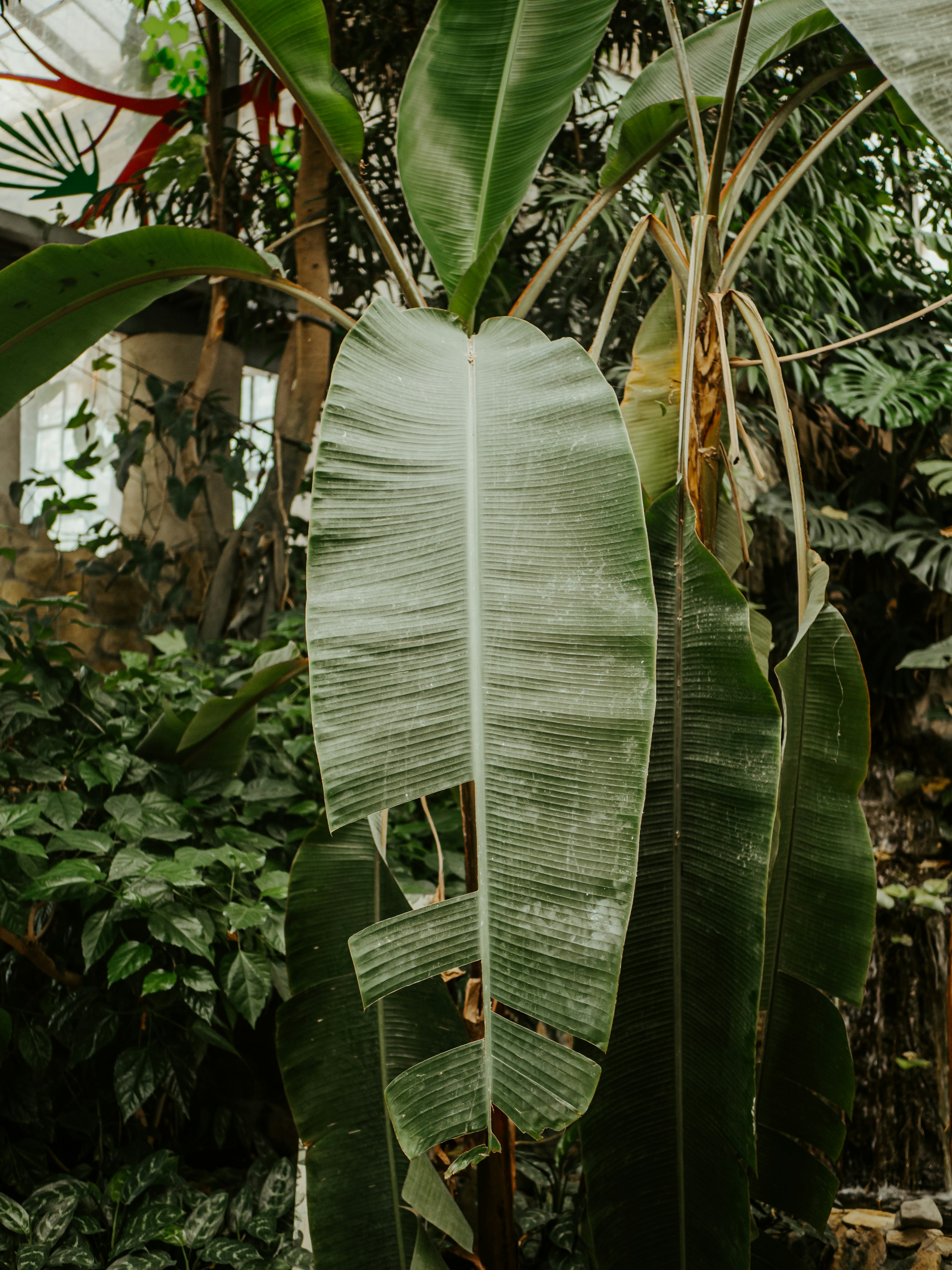 Photo by matthiasoberholzer