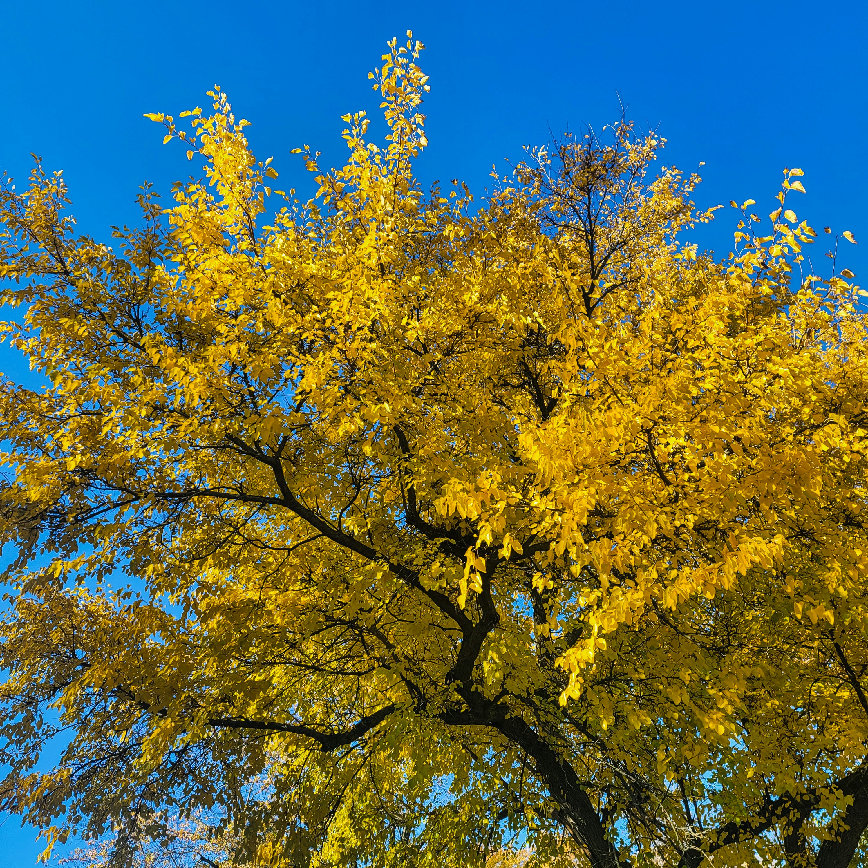 Photo by sydneymeowmeow