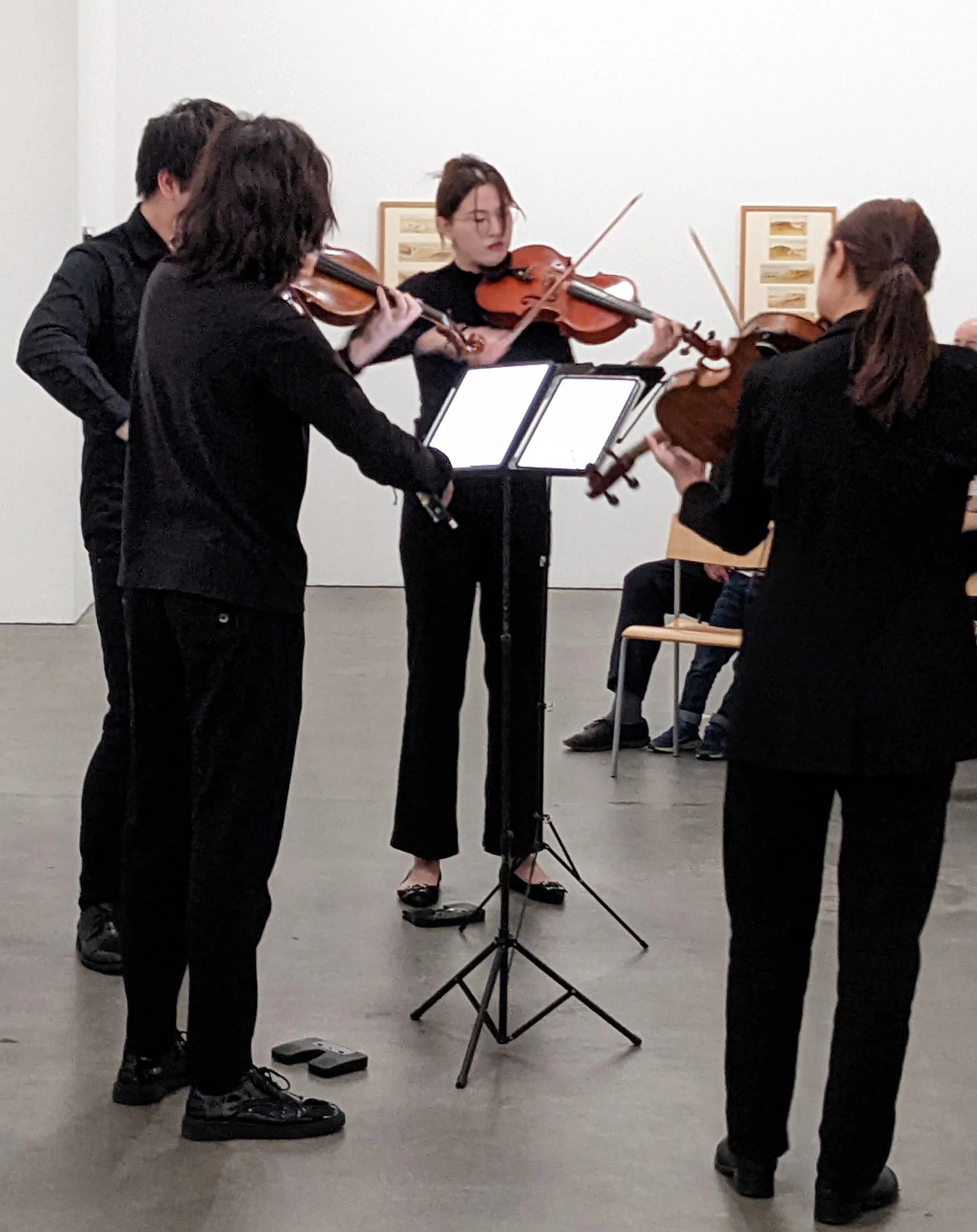 Group of violinists
