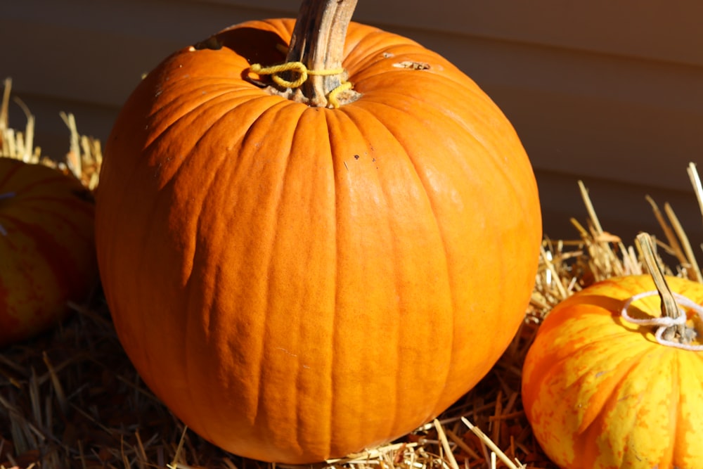 a group of pumpkins