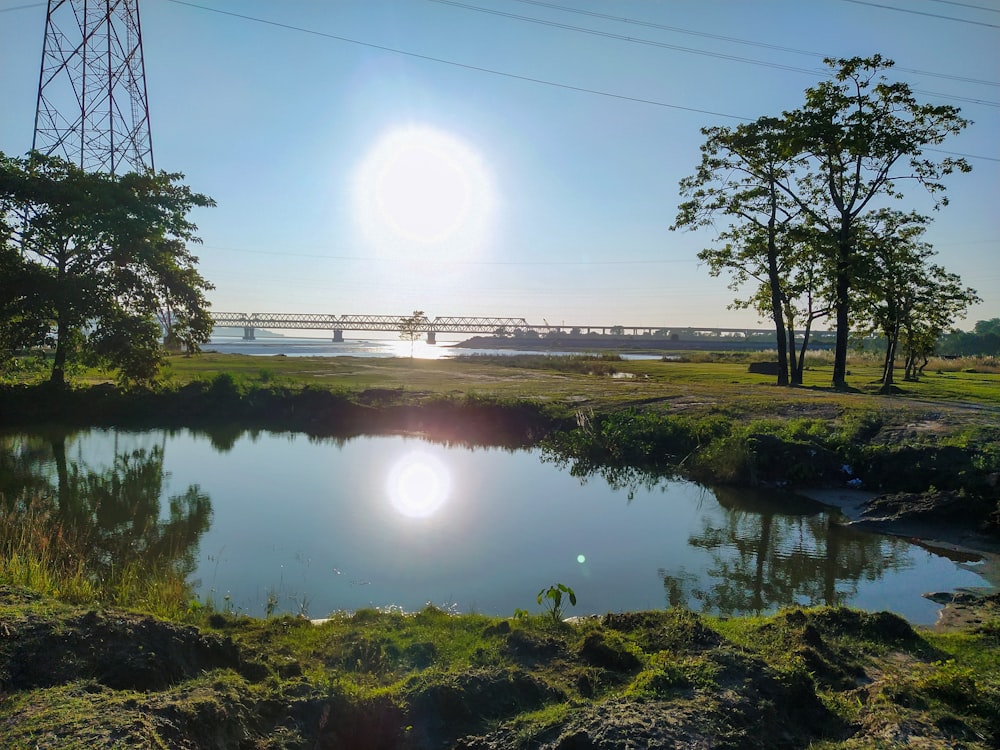 a body of water with trees and grass around it