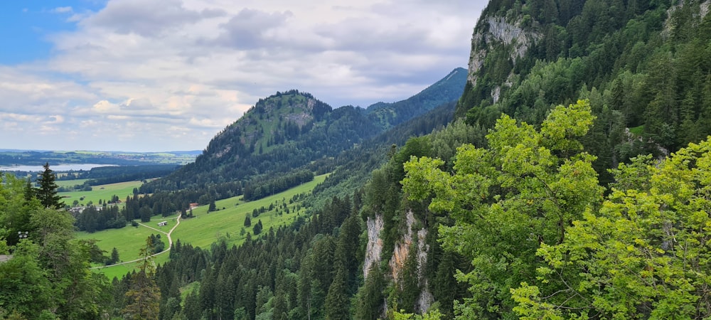 eine Landschaft mit Bäumen und Bergen