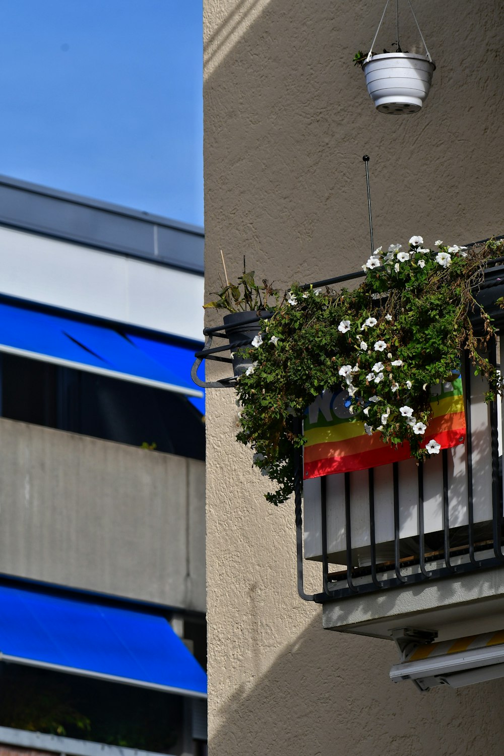 a plant on a balcony