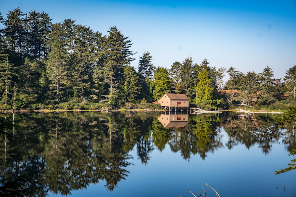 a house on a lake surrounded by trees