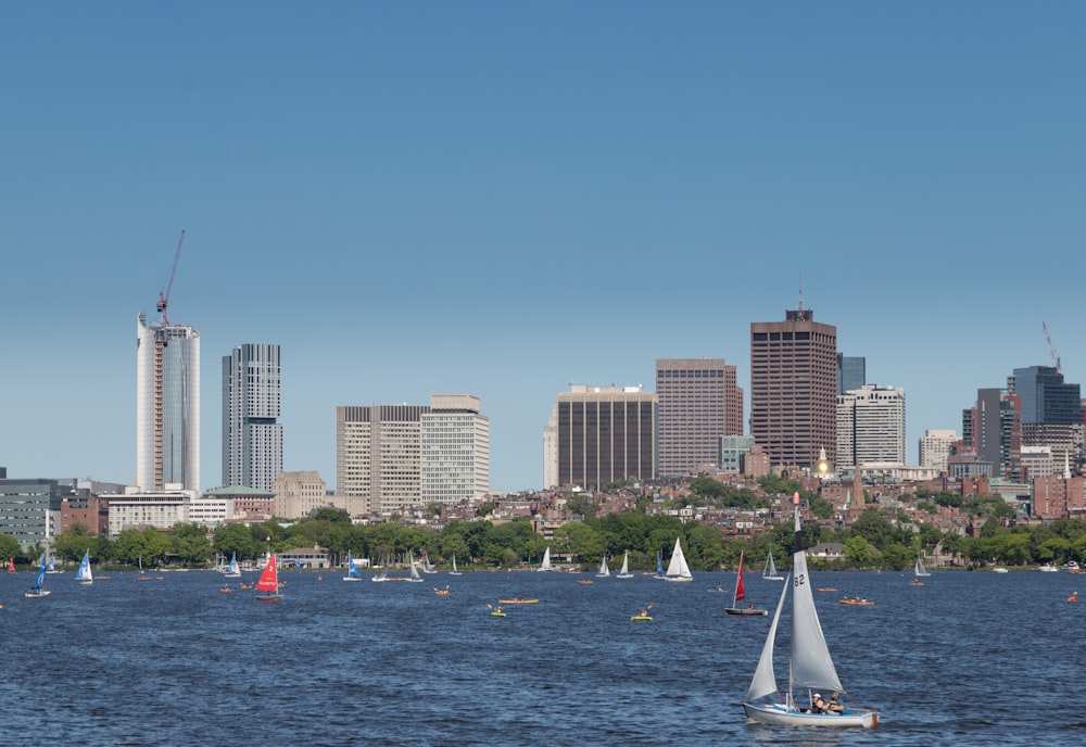 a group of sailboats on the water with a city in the background