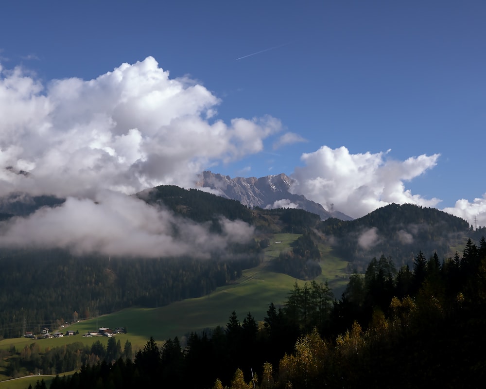 a landscape with trees and mountains