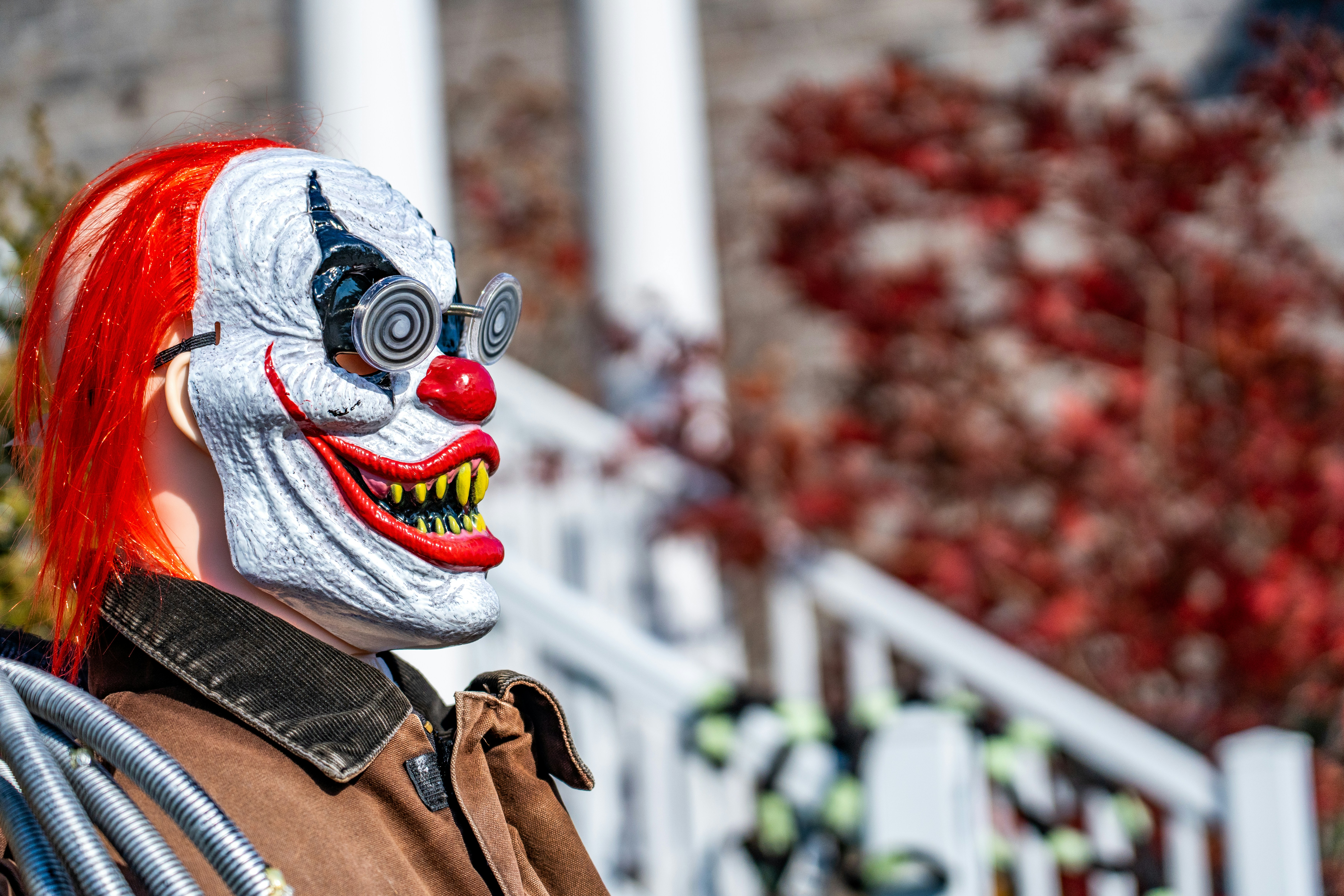 Photo by chris_robert