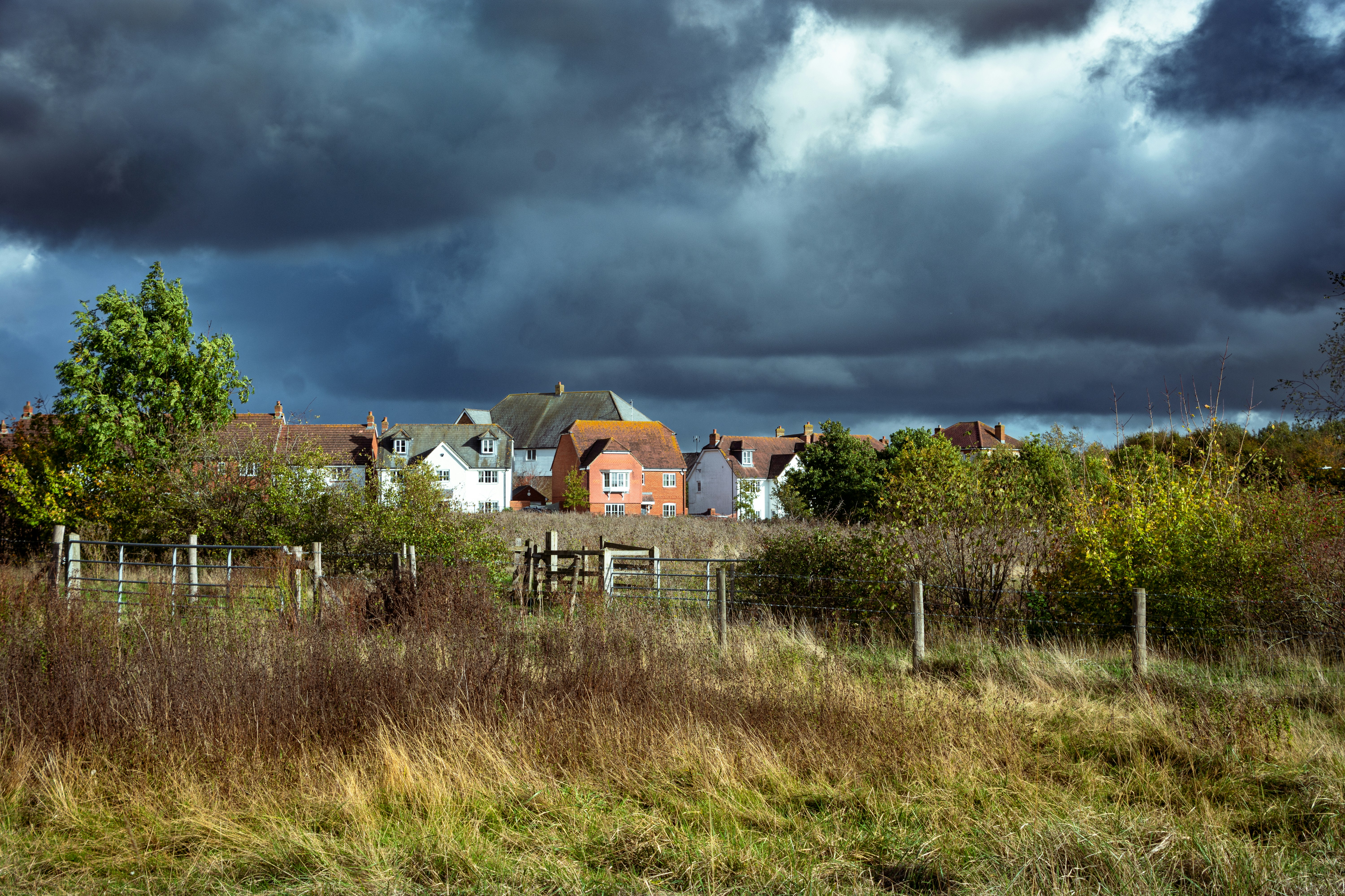 a group of houses with trees in front of them