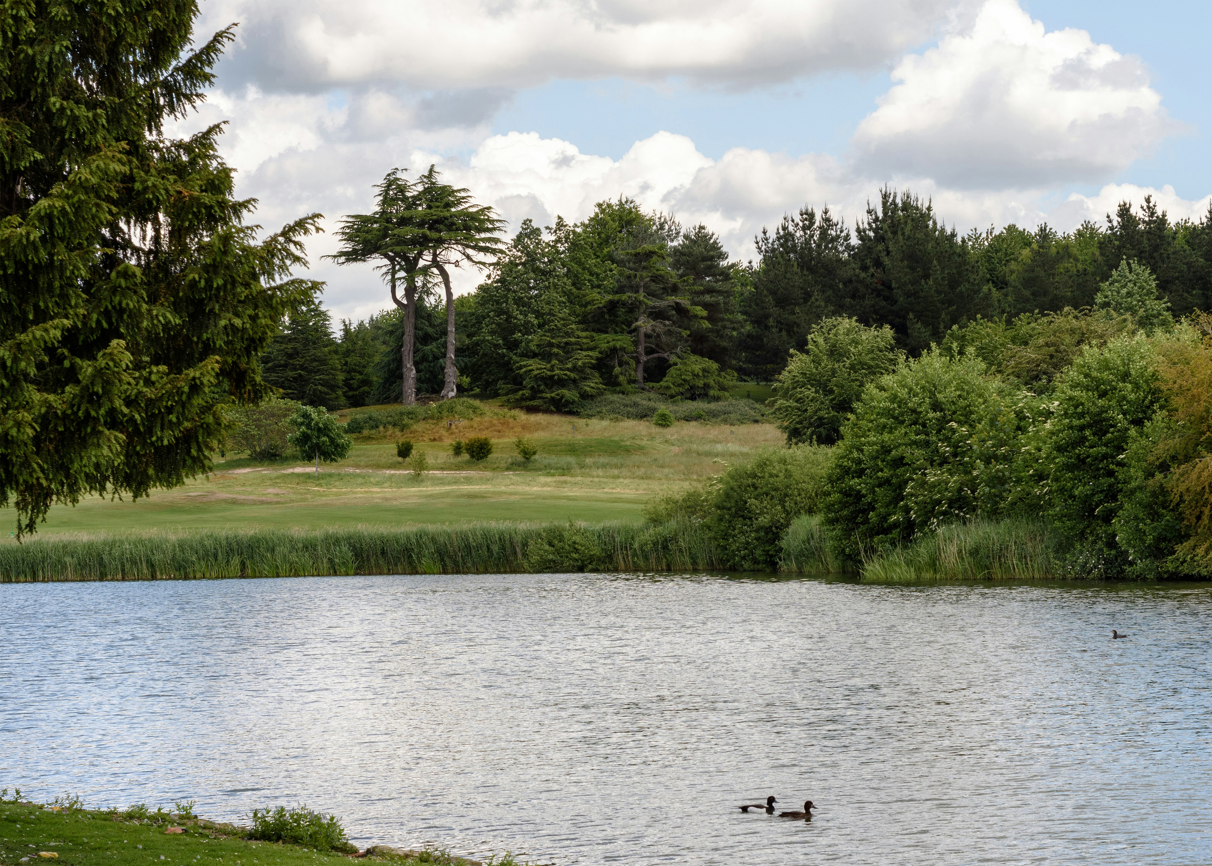 Photo by valthewizard