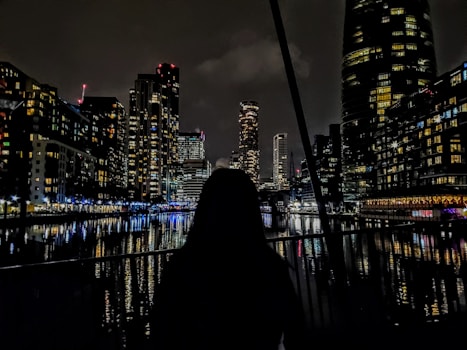 a person sitting on a dock looking out at a city at night