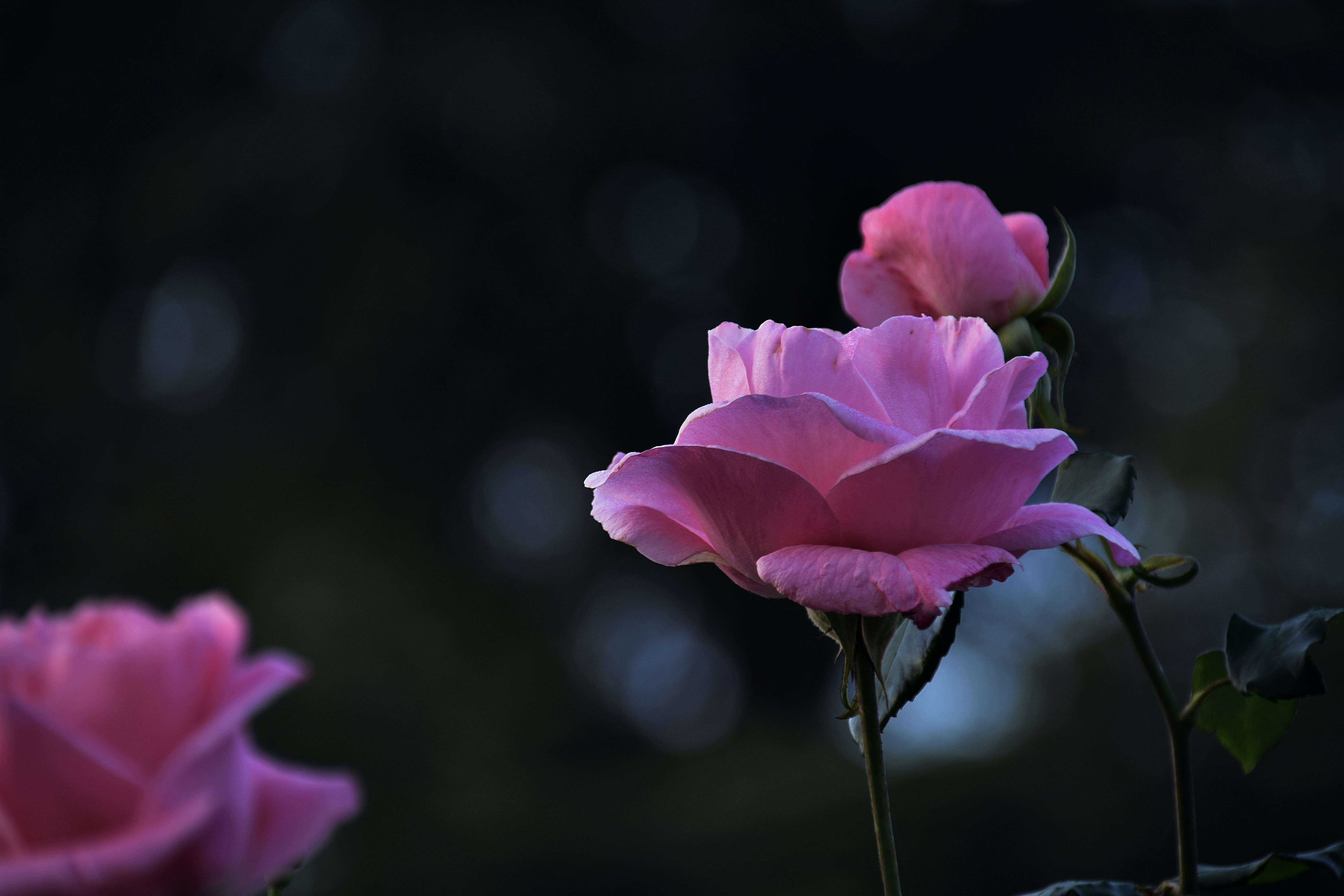 Photo by mariobeducci