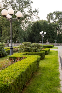 a garden with a lamp post
