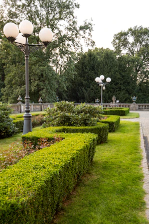 a garden with a lamp post