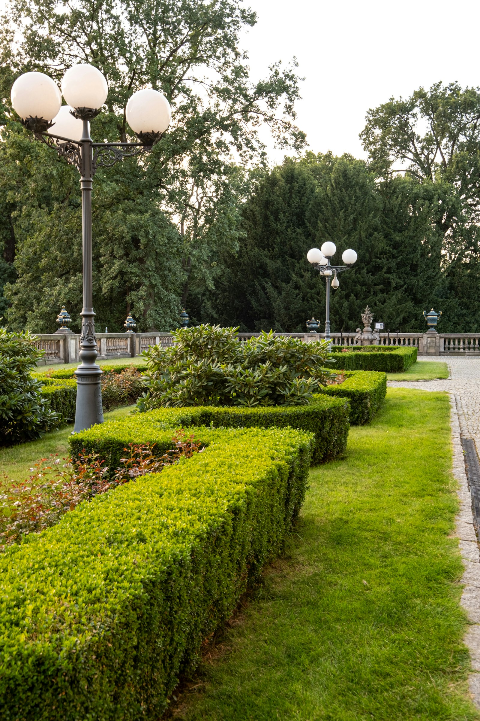 Jardin verdoyant entretenu