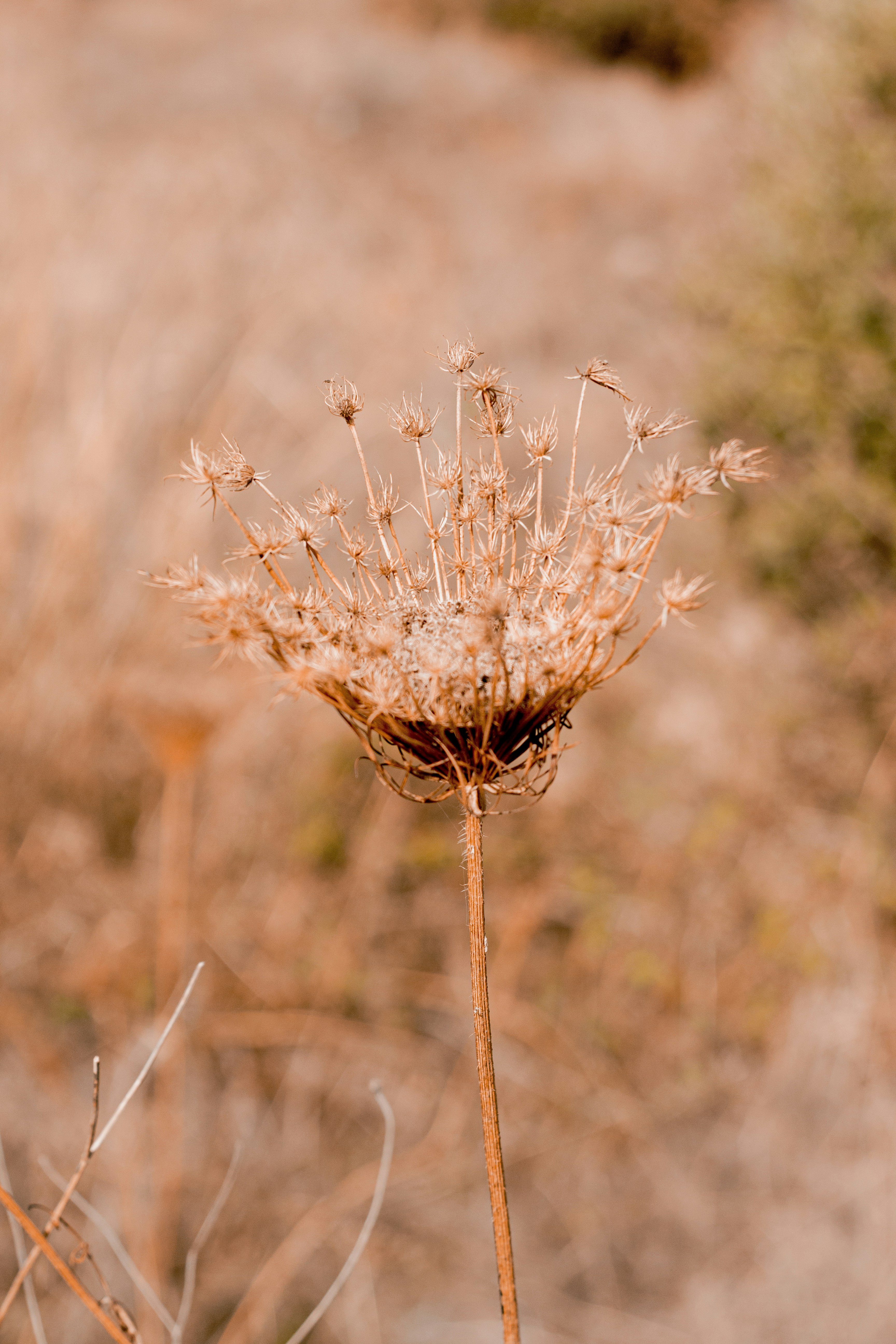 Photo by mezidi_zineb