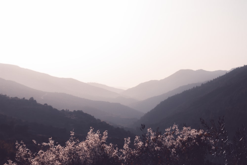 a landscape with hills and trees