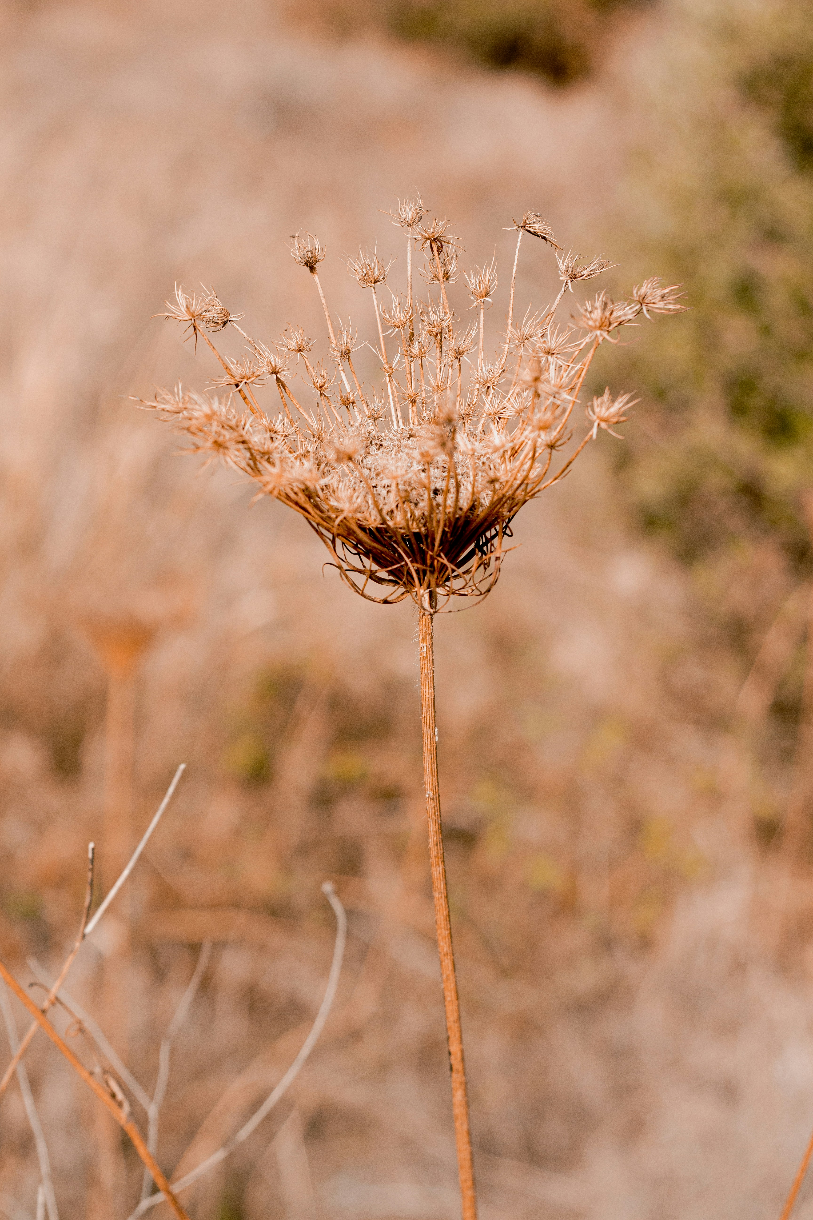 Photo by mezidi_zineb
