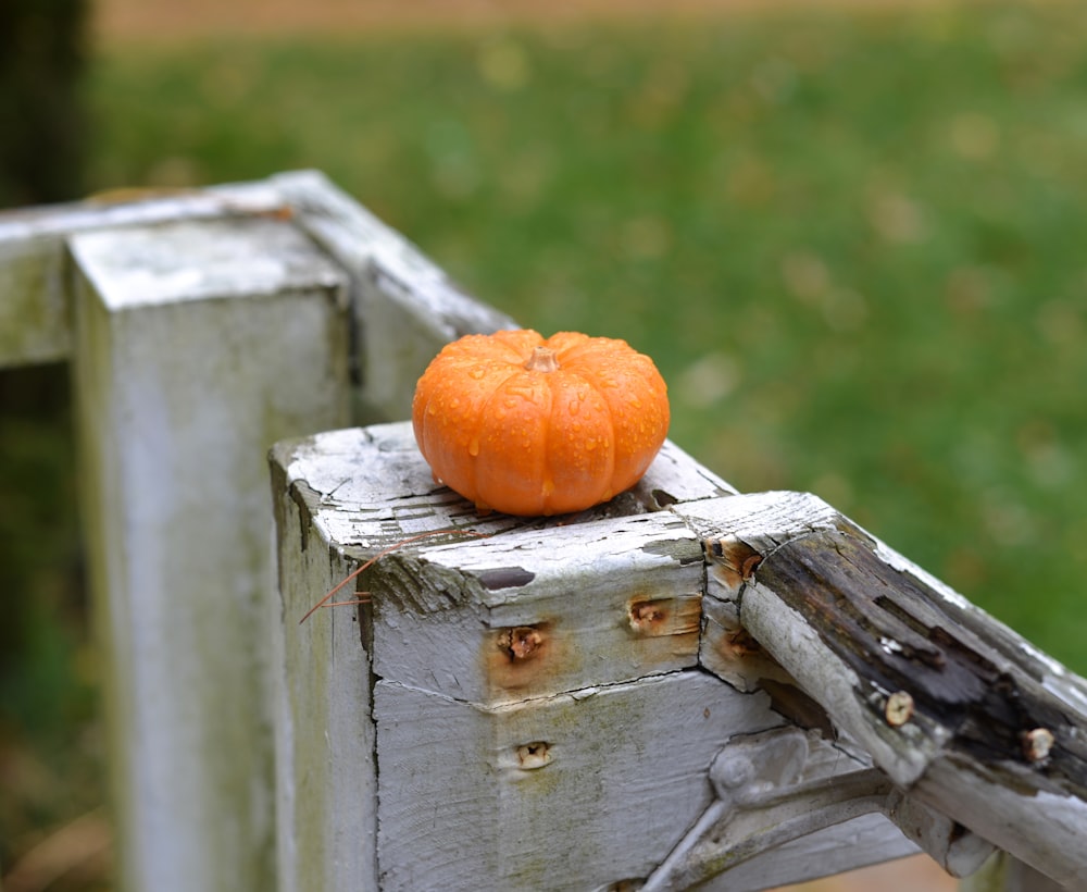 a pumpkin on a wooden fence