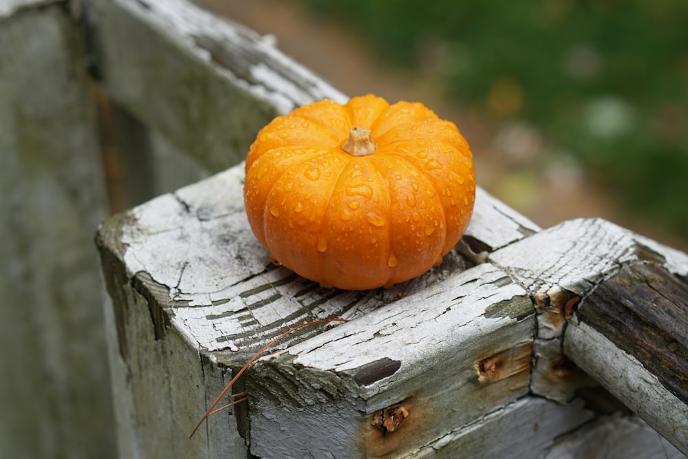 a pumpkin on a wood surface